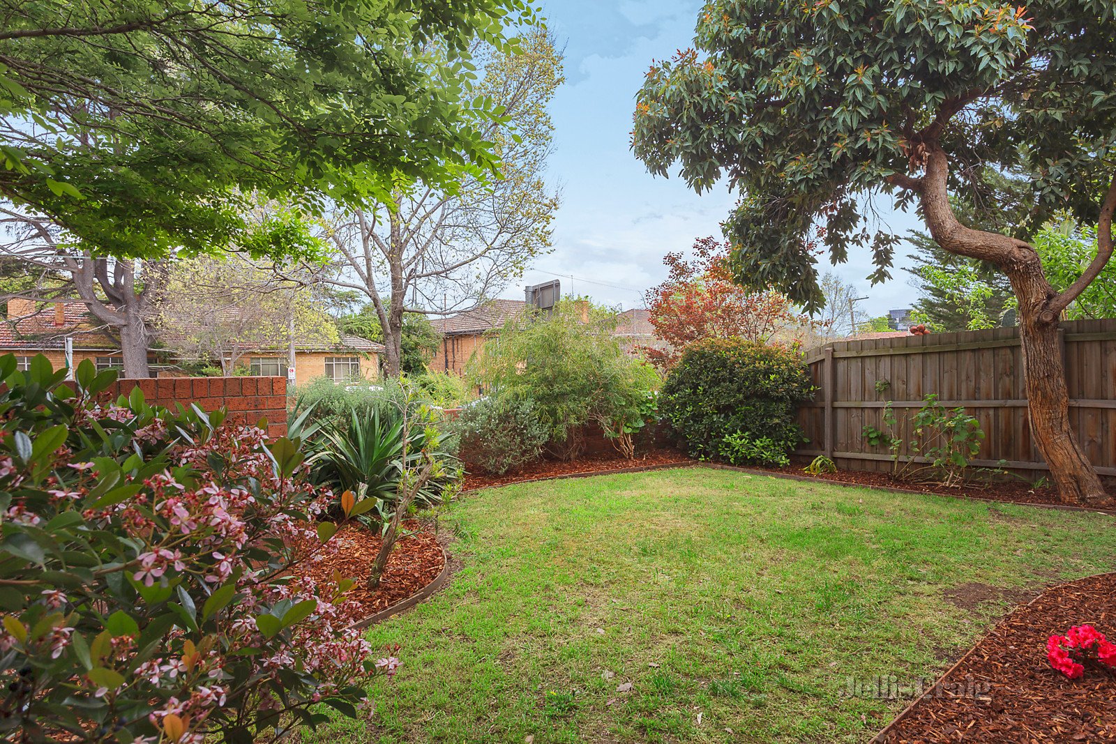 1/867 Toorak Road, Hawthorn East image 5