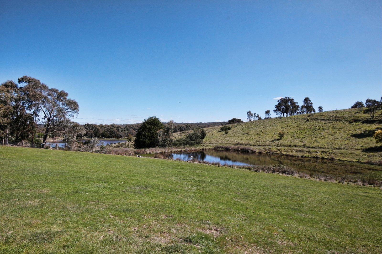 Property Gallery Thumbnail 21