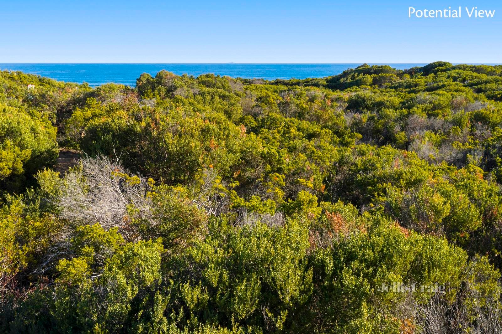 19-25 Krynen Street, St Andrews Beach image 7