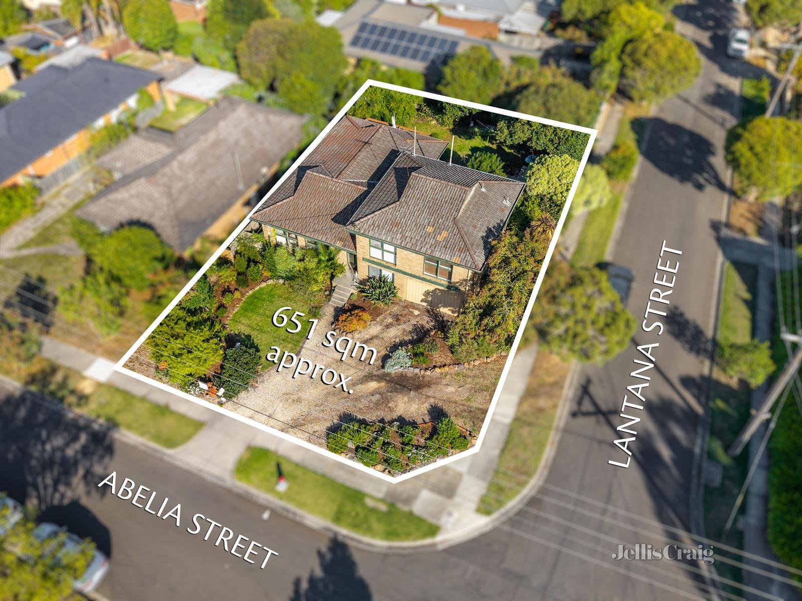 19 Abelia Street, Doncaster East image 7