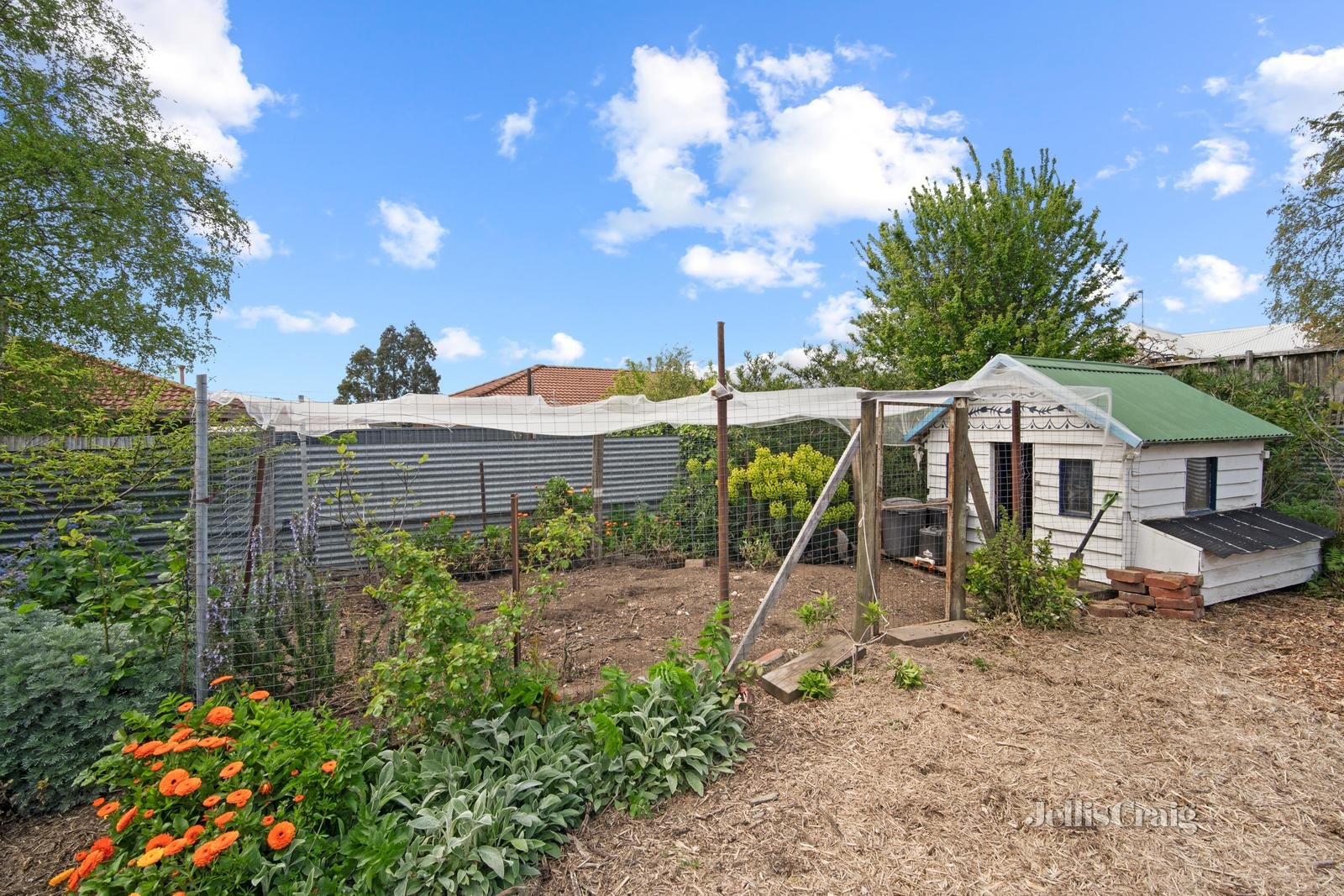 19 Alexandra Street, Sebastopol image 12