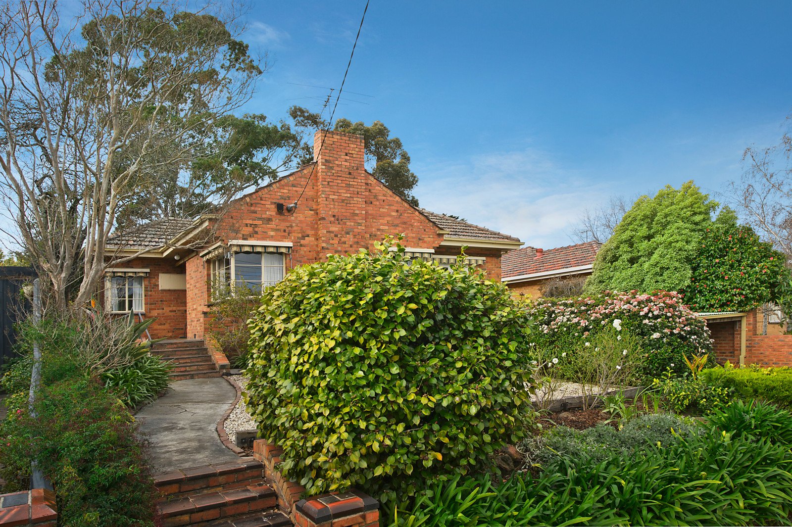 19 Alonso Street, Glen Iris image 3