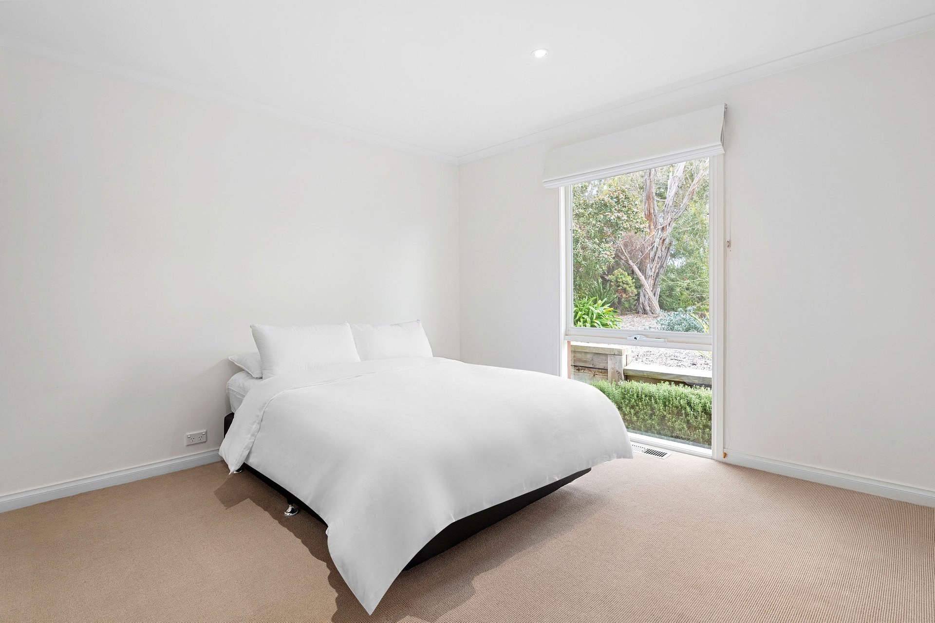 19 Andrea Street, Rye image 6
