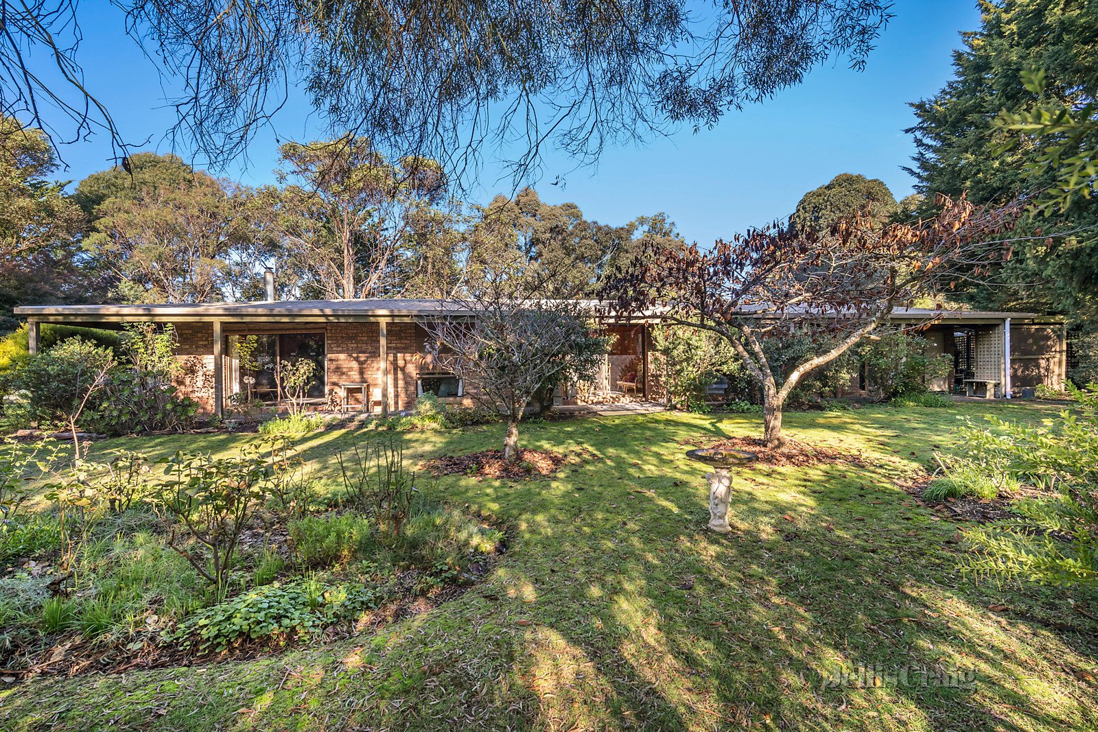 19 Avalon Court, Smythes Creek image 1