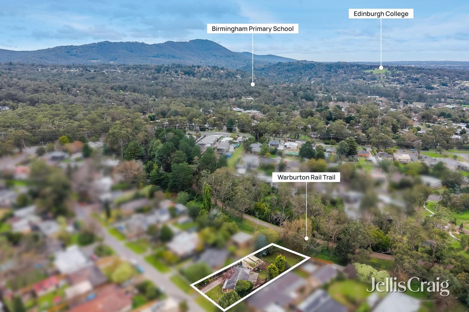 19 Bramwell Street, Lilydale image 11