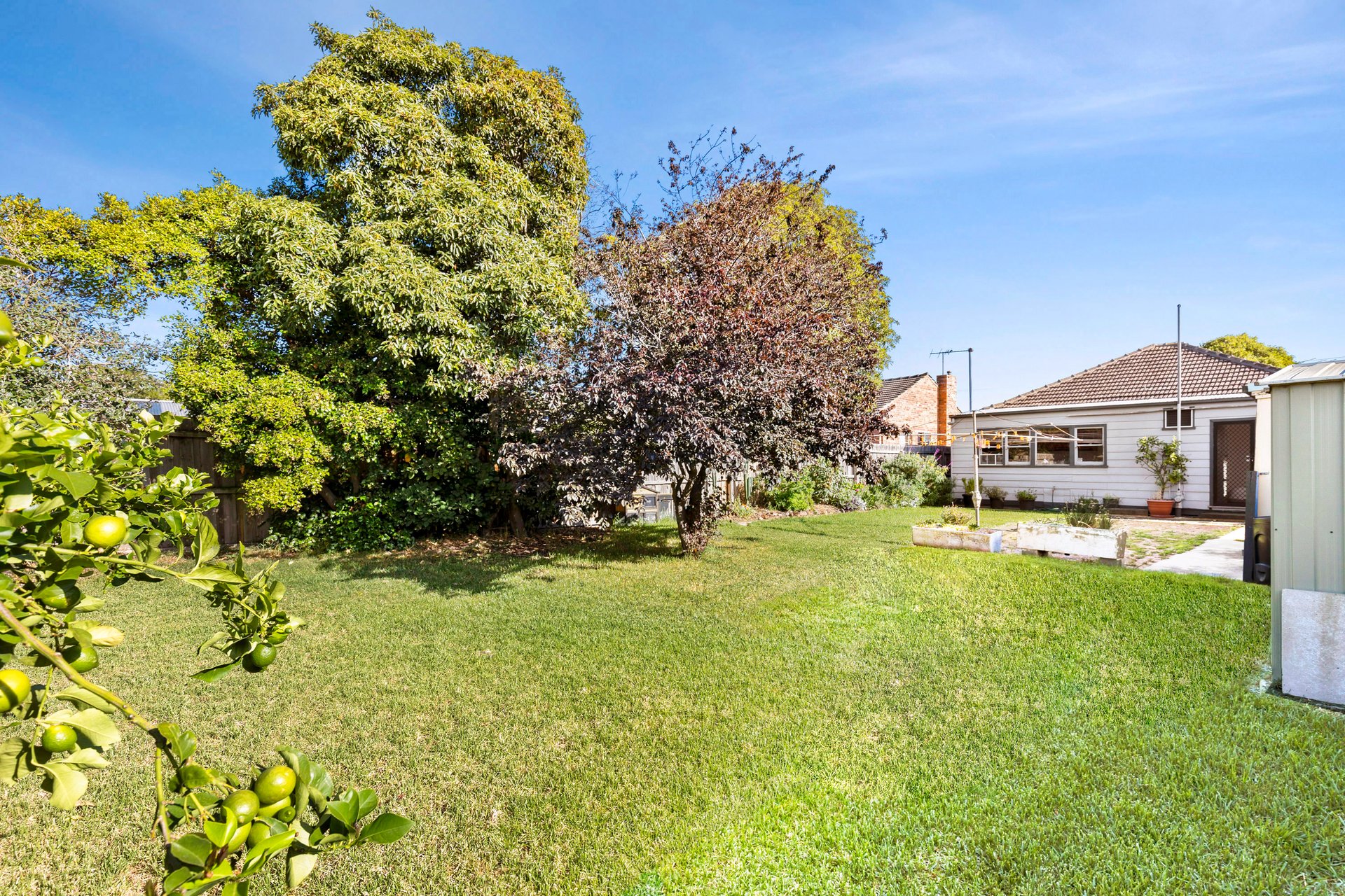19 Calder Street, Manifold Heights image 5