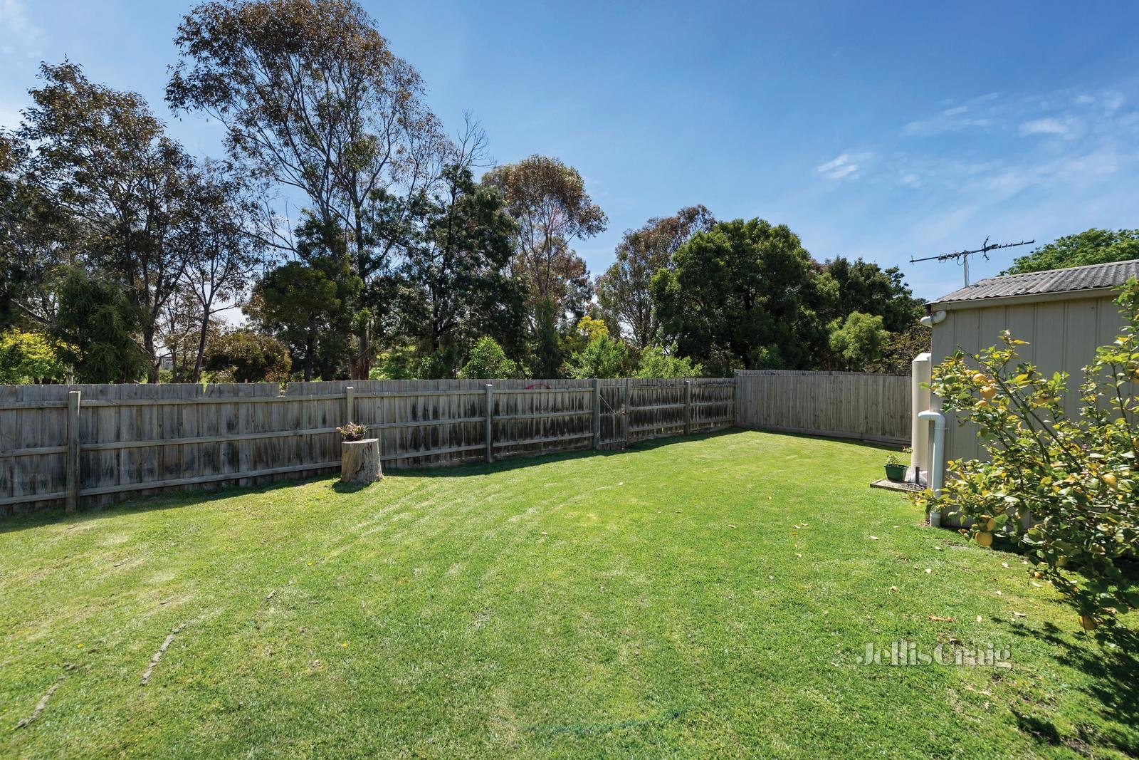 19 Clay Street, Moorabbin image 13