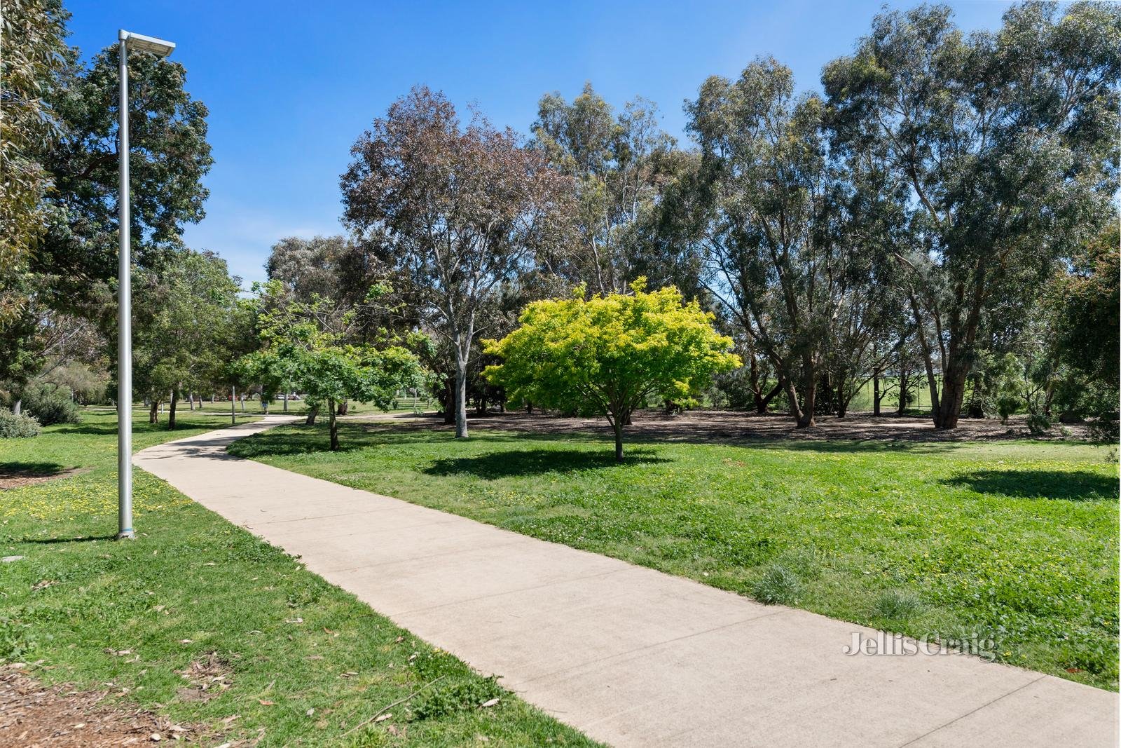 19 Clay Street, Moorabbin image 14