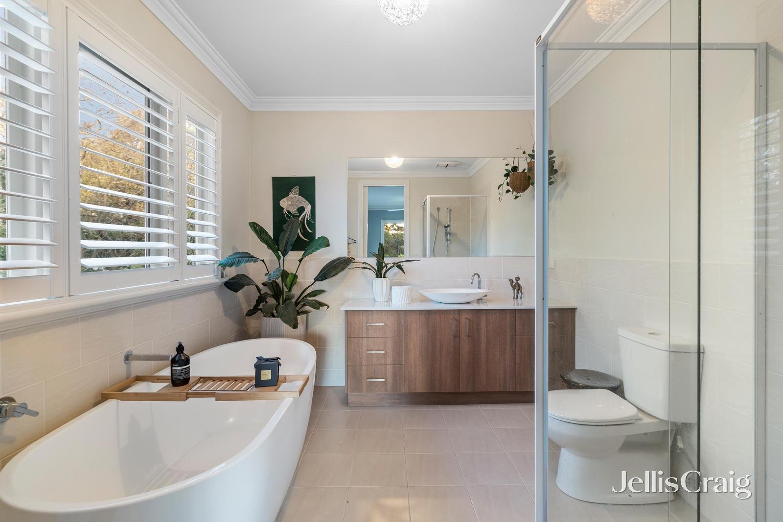 19 Clifton Street, Blackburn image 8