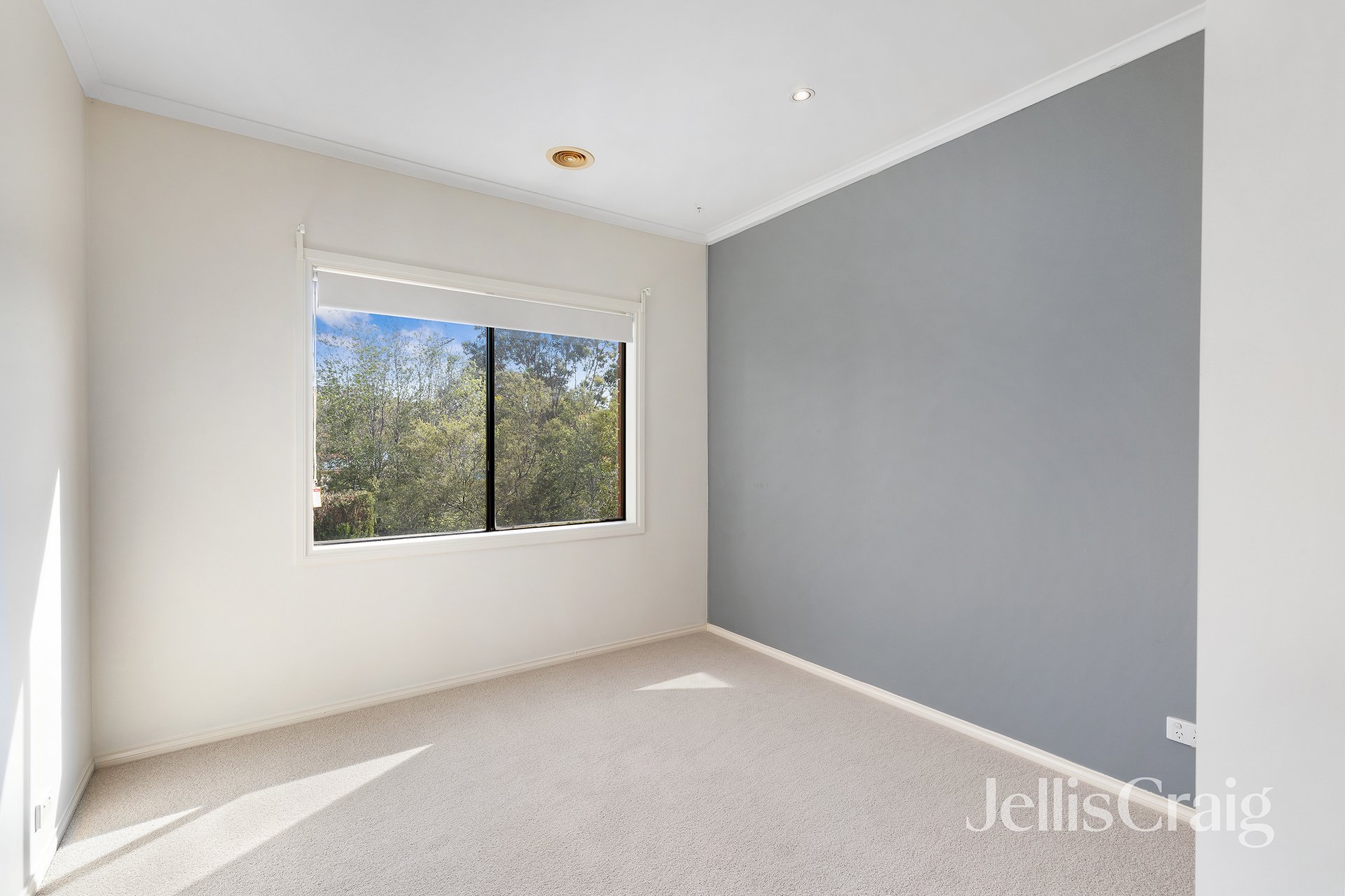 19 Cockatiel Place, Diamond Creek image 11