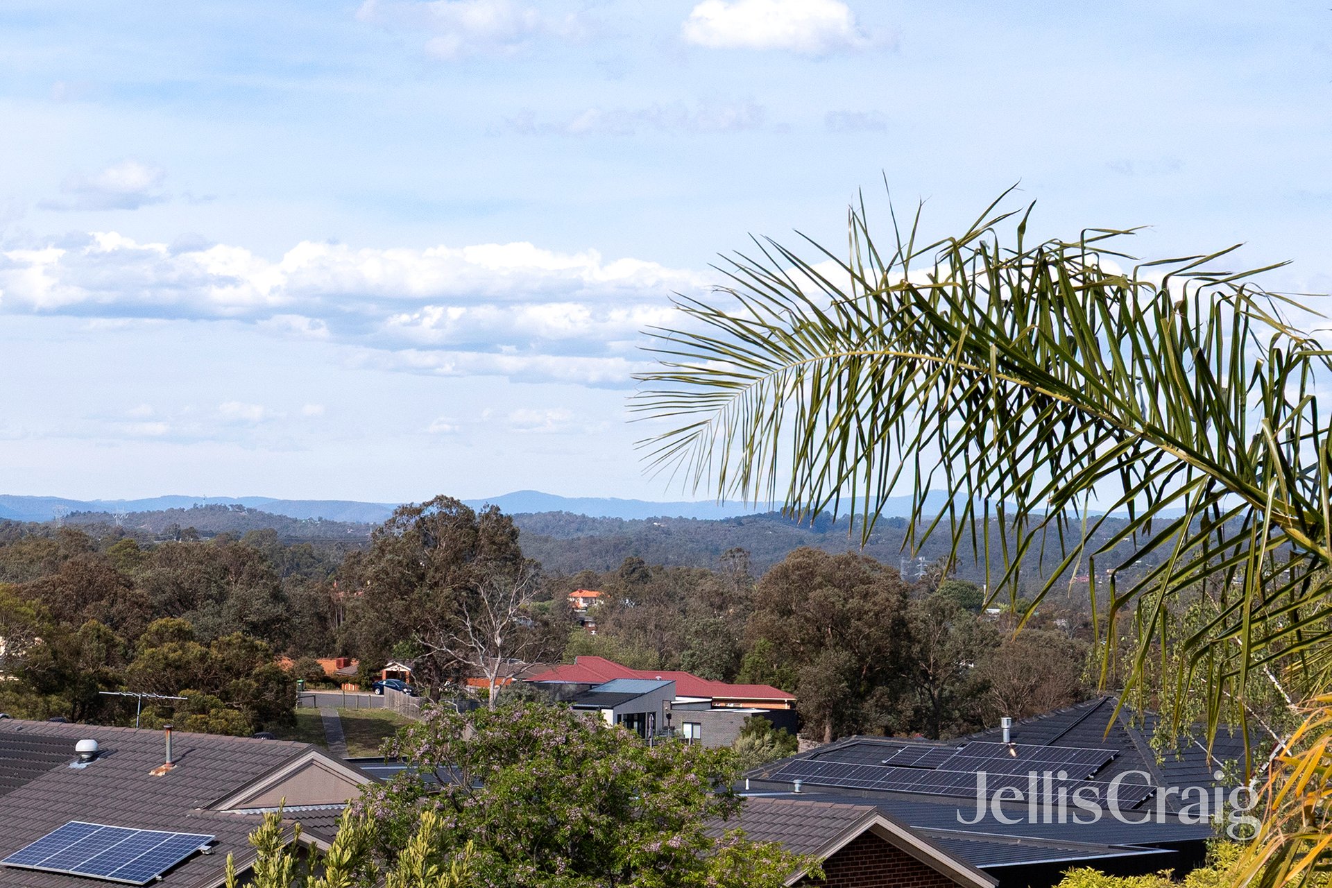 19 Cockatiel Place, Diamond Creek image 14