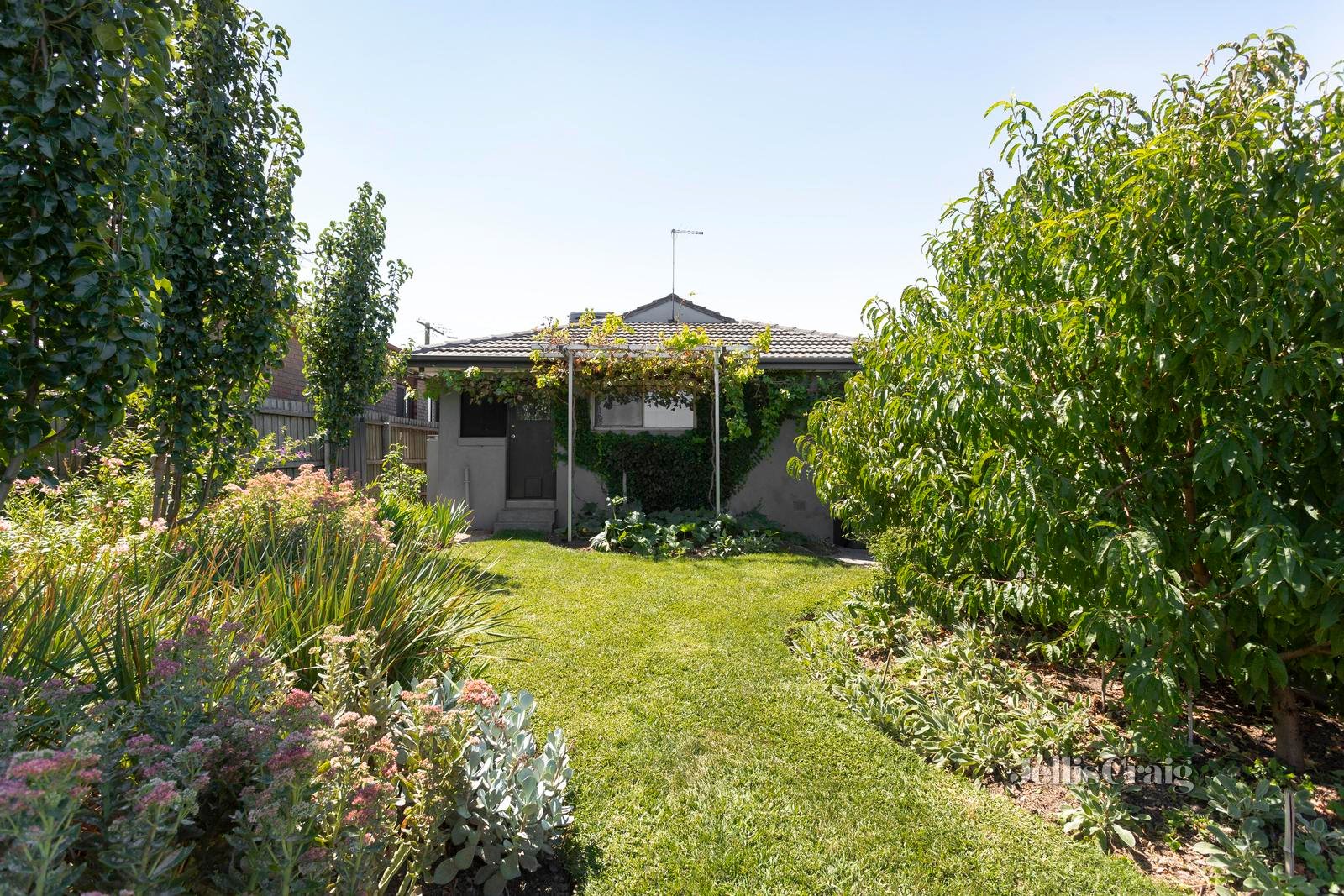 19 Dallas Drive, Lalor image 14