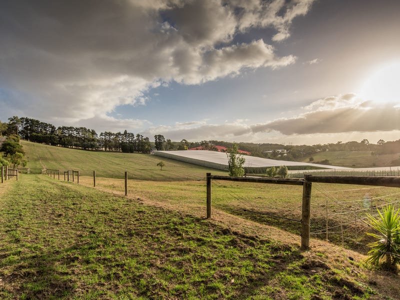 19 Darling Road, Gruyere image 17