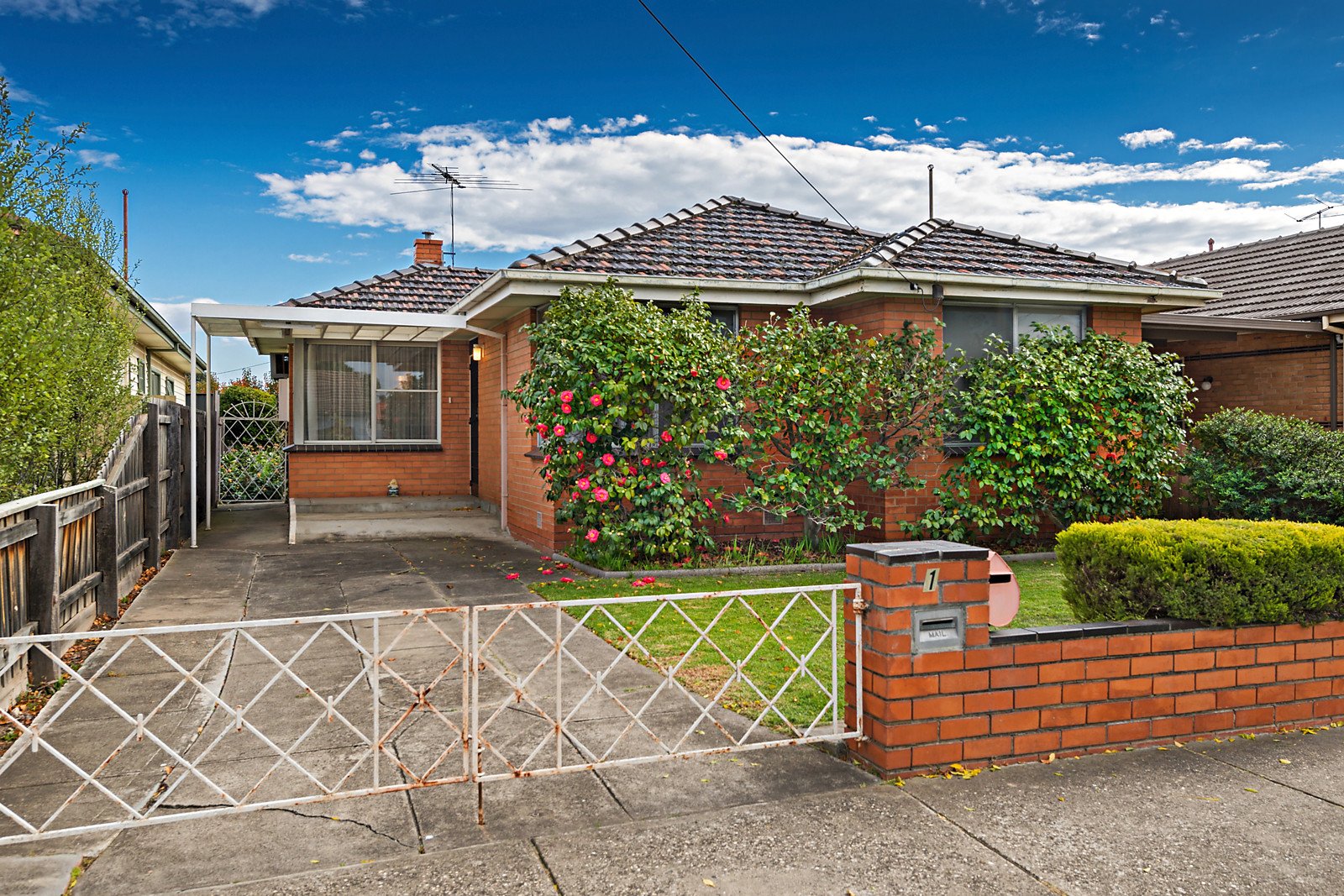 19 Derby Street, Pascoe Vale VIC 3044