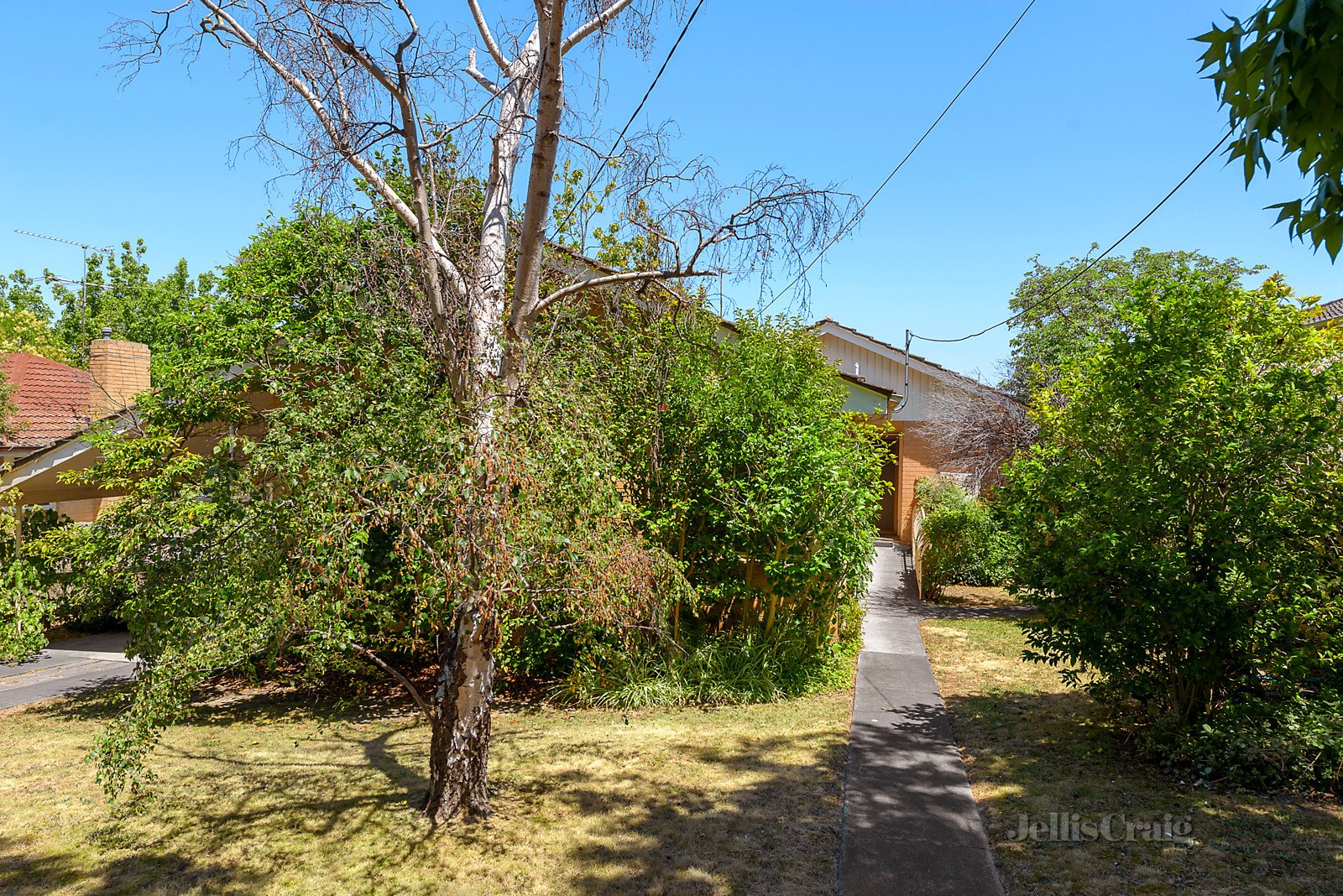 19 Dion Street, Doncaster image 8