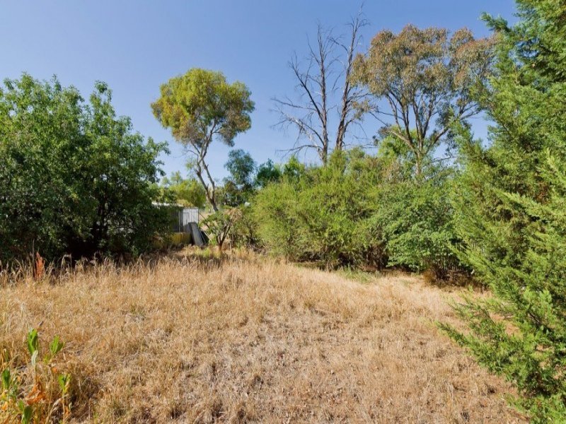 19 Elizabeth Street, Castlemaine image 9