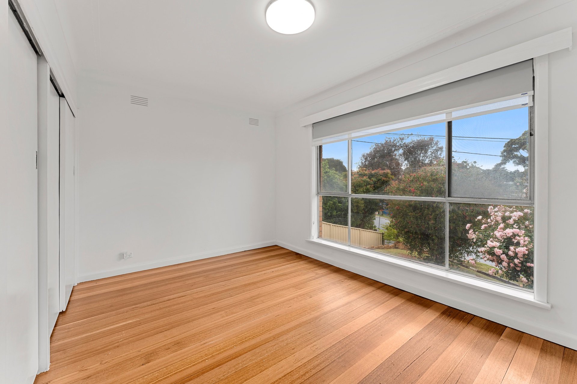 19 Falconer Street, Glen Waverley image 4