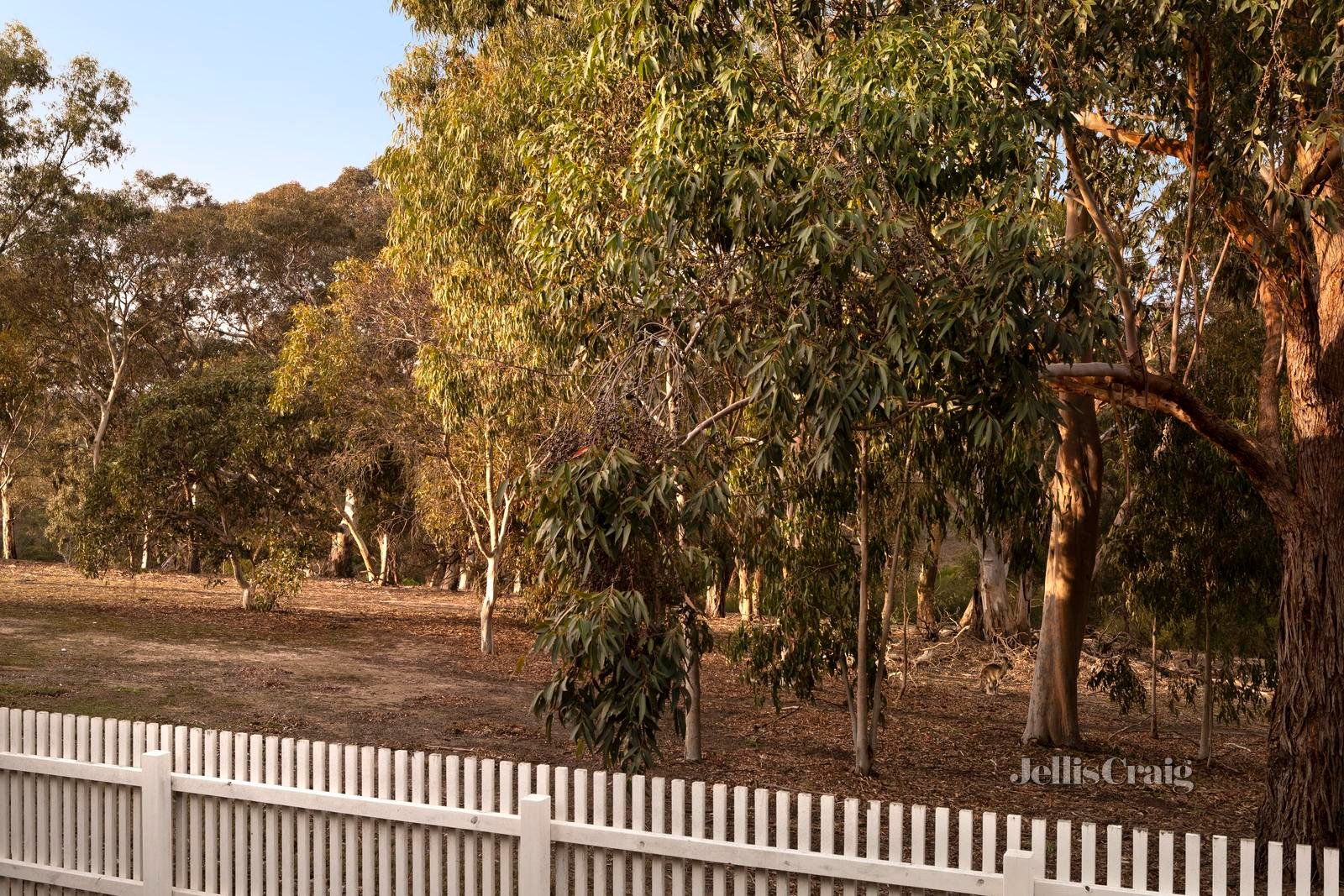 19 Greenwich Crescent, Bundoora image 9