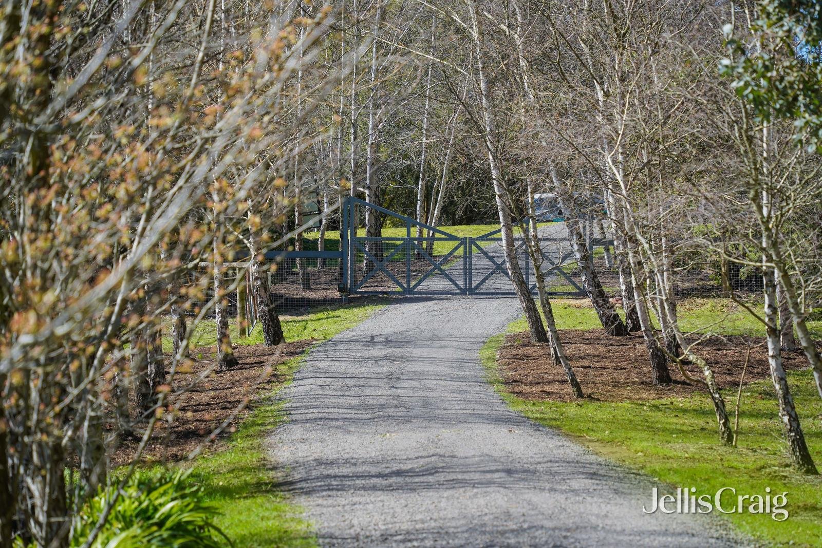 19 Jason Drive, Woodend image 5