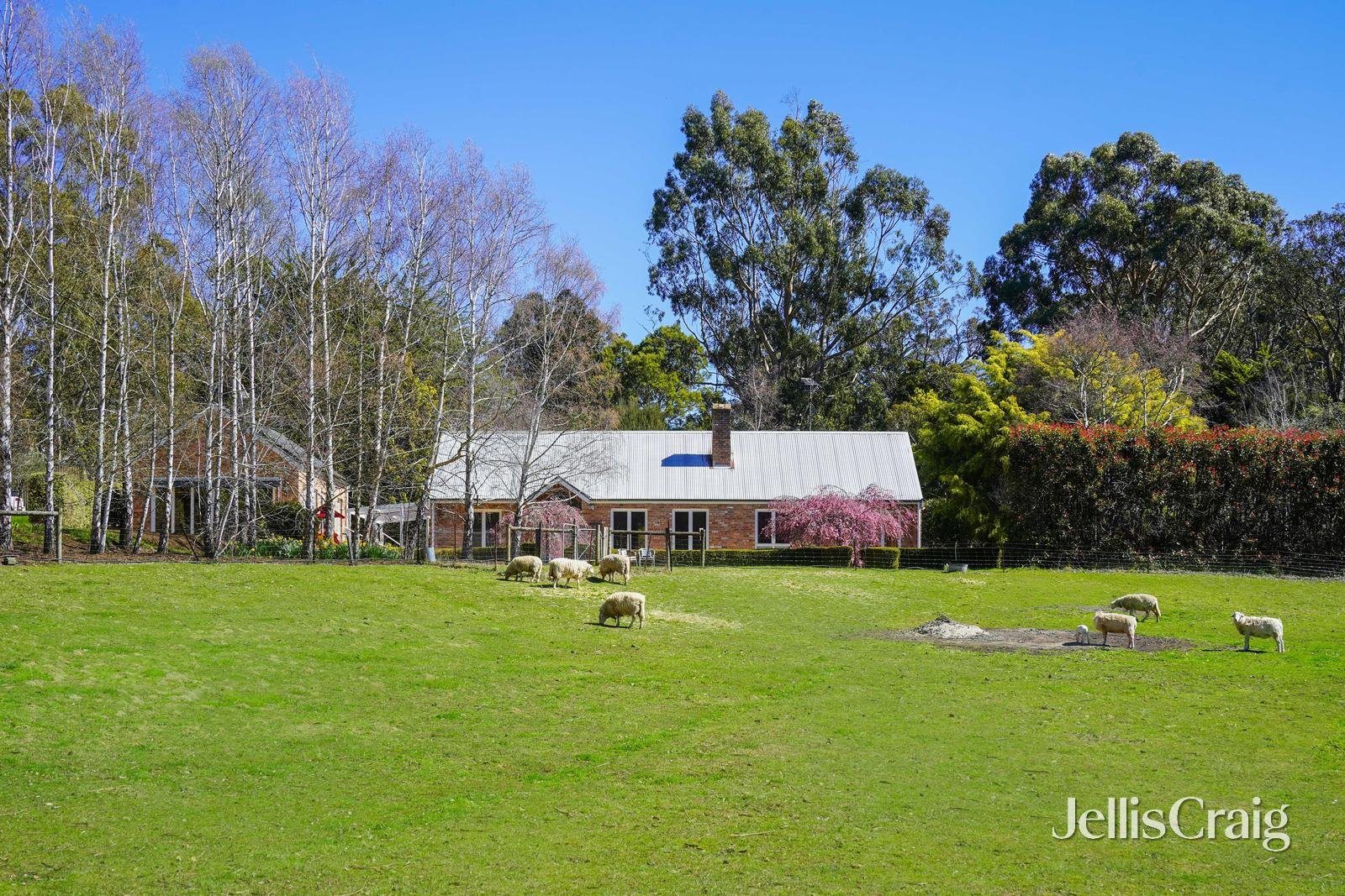 19 Jason Drive, Woodend image 12