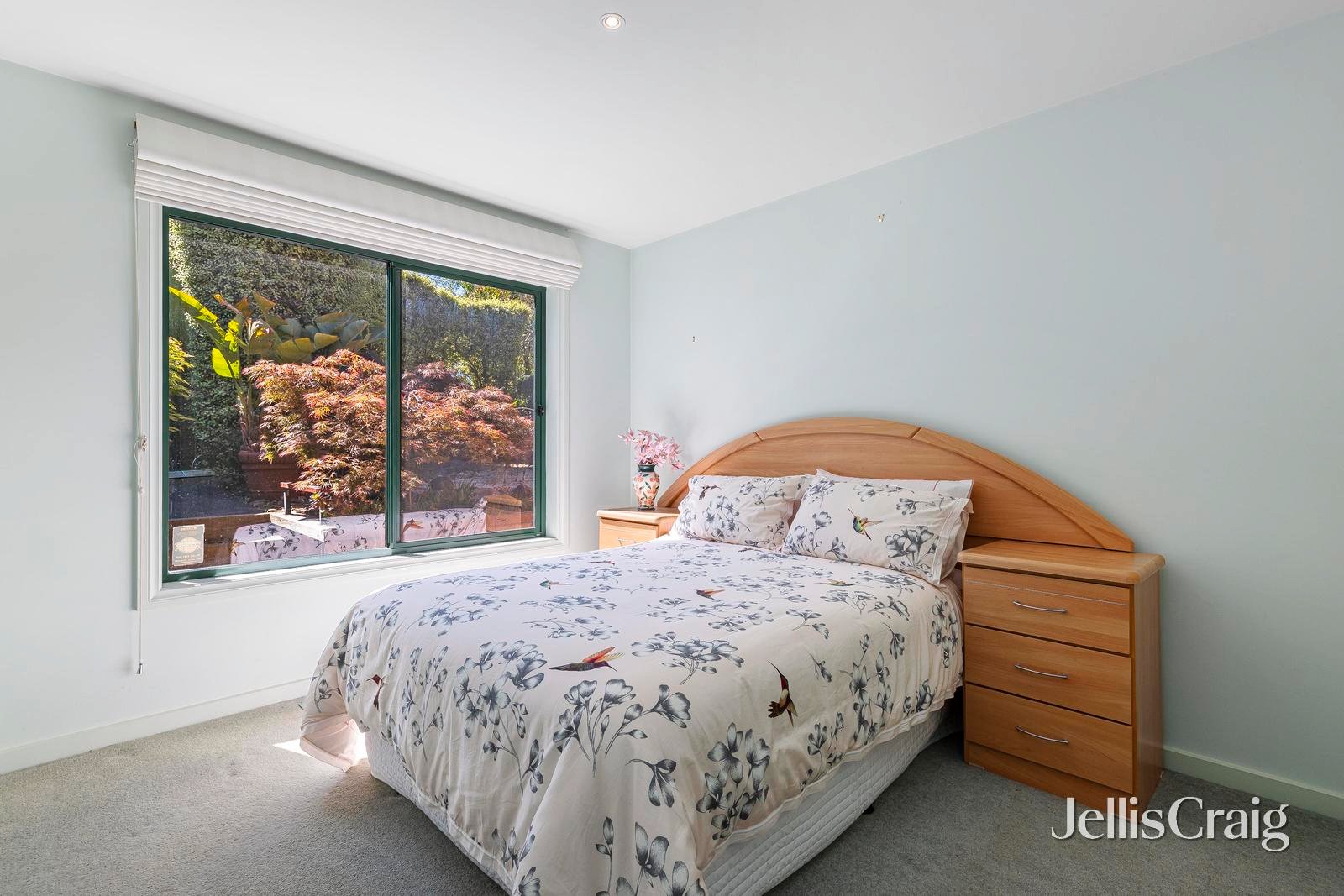 19 Paramount Crescent, Mount Martha image 8