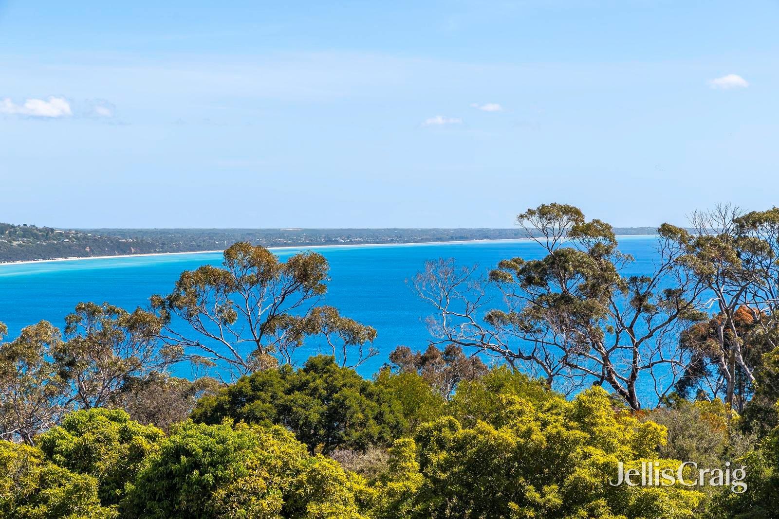 19 Paramount Crescent, Mount Martha image 13