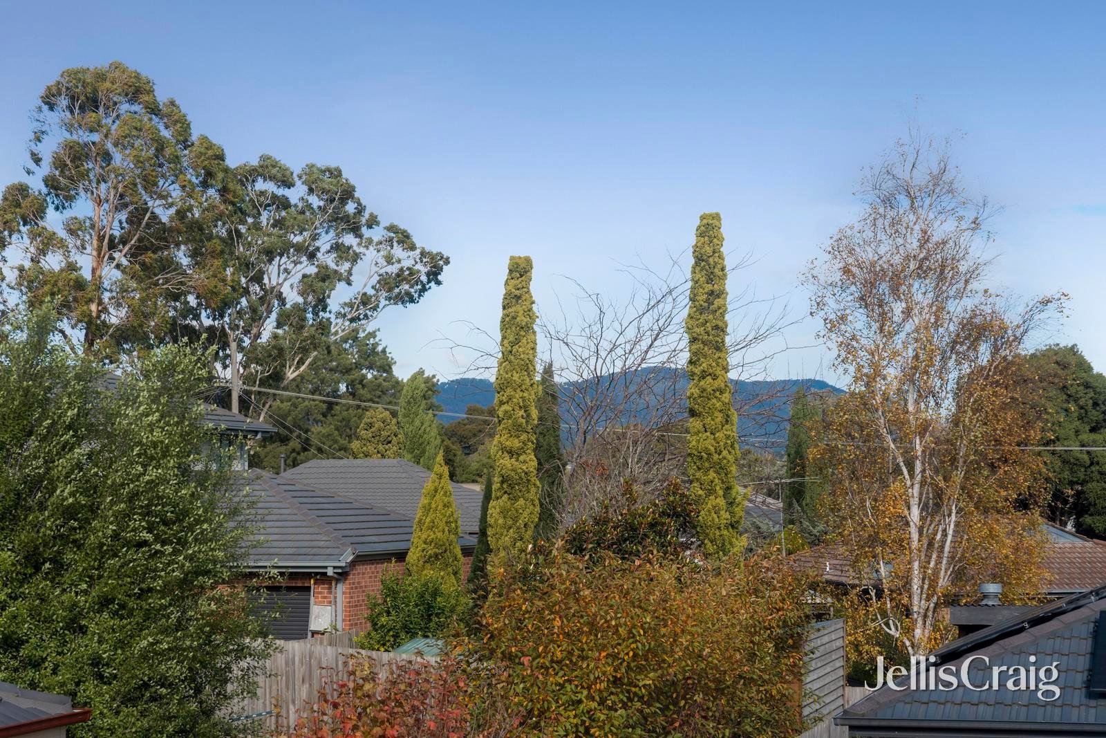 19 Plaza Court, Lilydale image 12