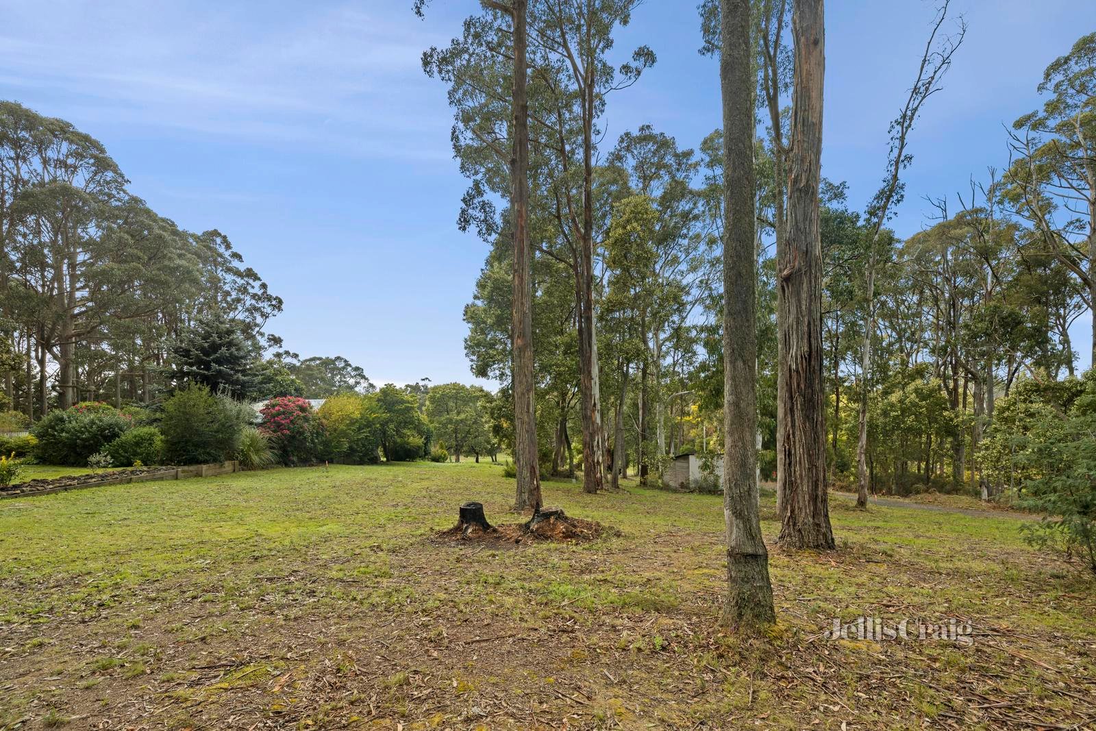 19 Radium Avenue, Sailors&nbsp;Falls image 3