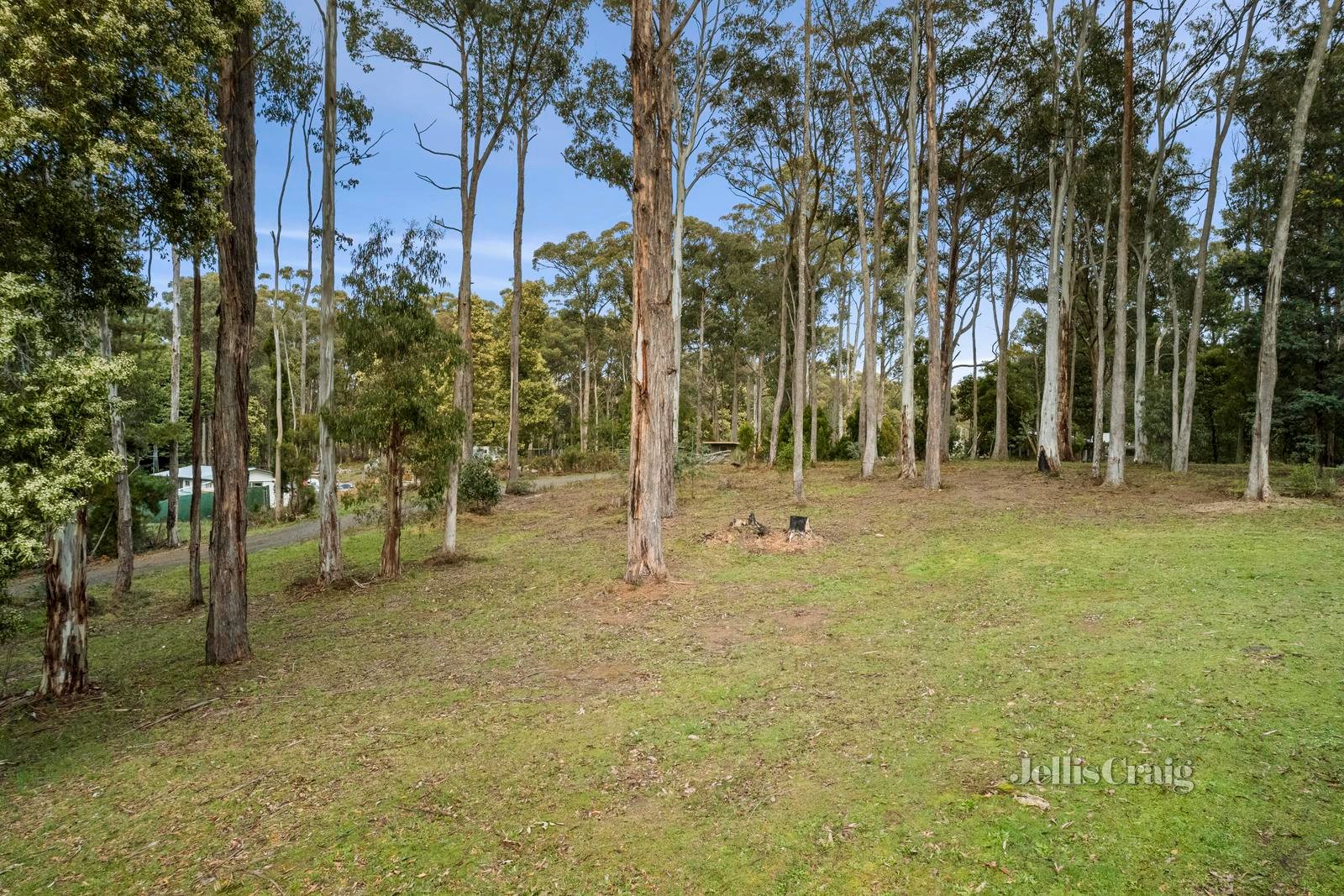 19 Radium Avenue, Sailors&nbsp;Falls image 4
