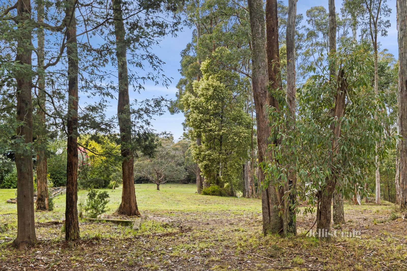 19 Radium Avenue, Sailors&nbsp;Falls image 6