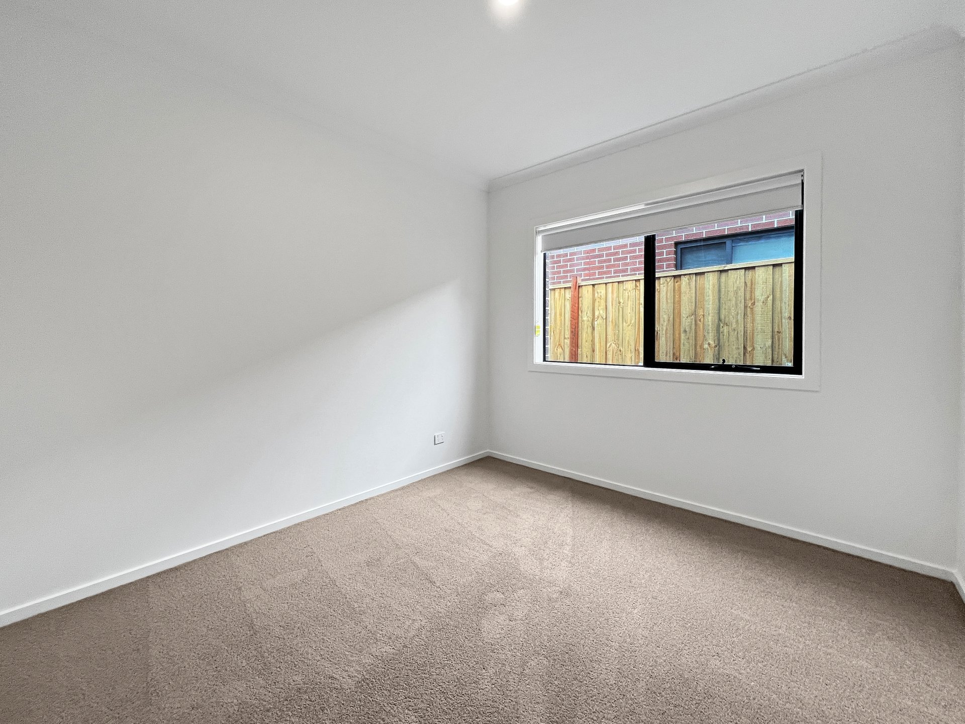 19 Scoparia Street, Charlemont image 8
