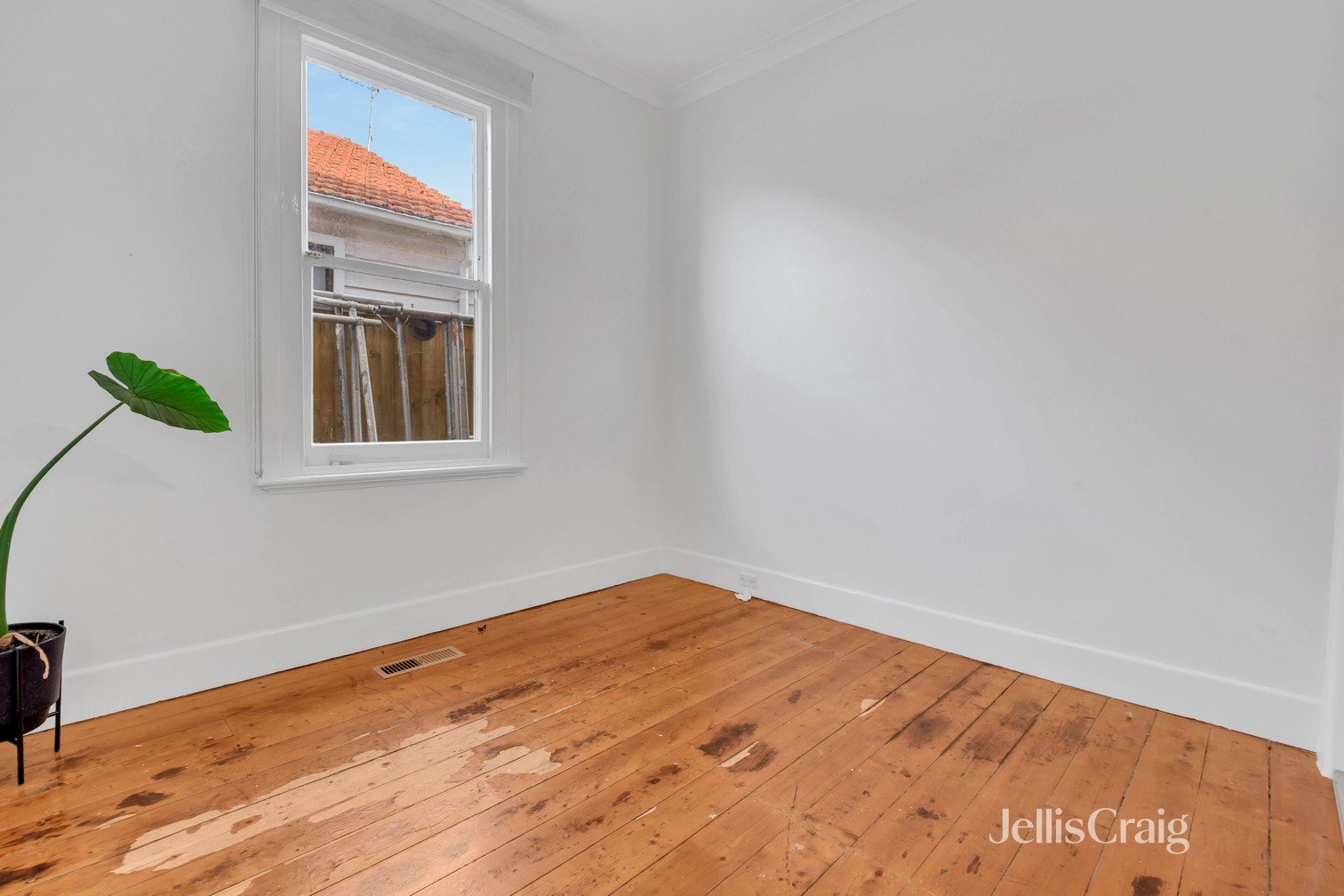 19 Suffolk Avenue, Coburg image 6