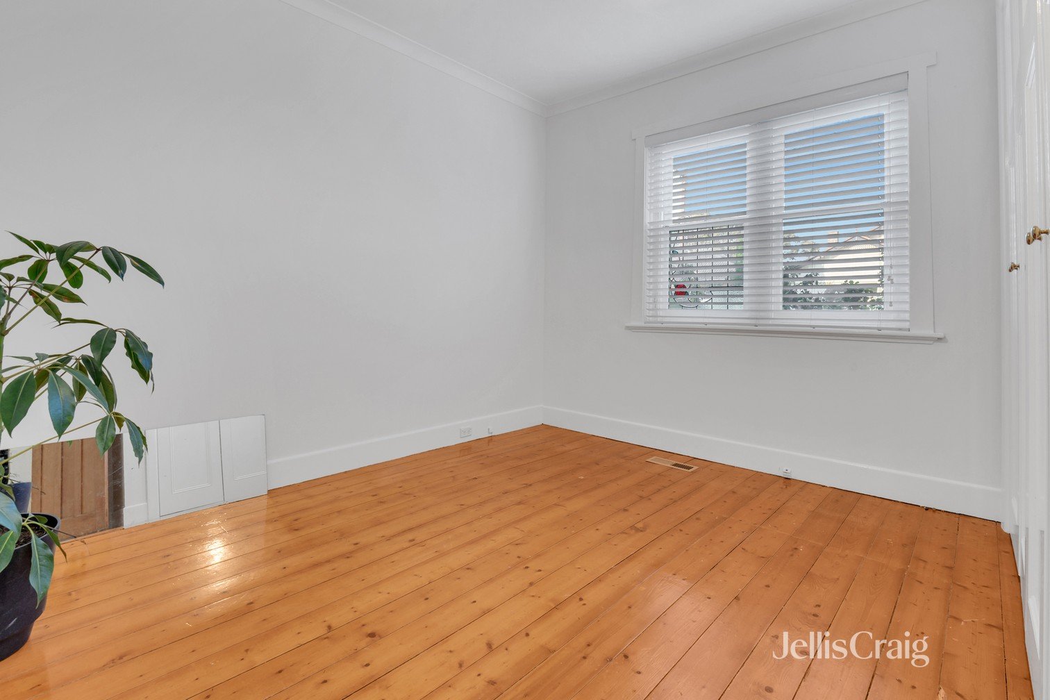 19 Suffolk Avenue, Coburg image 7