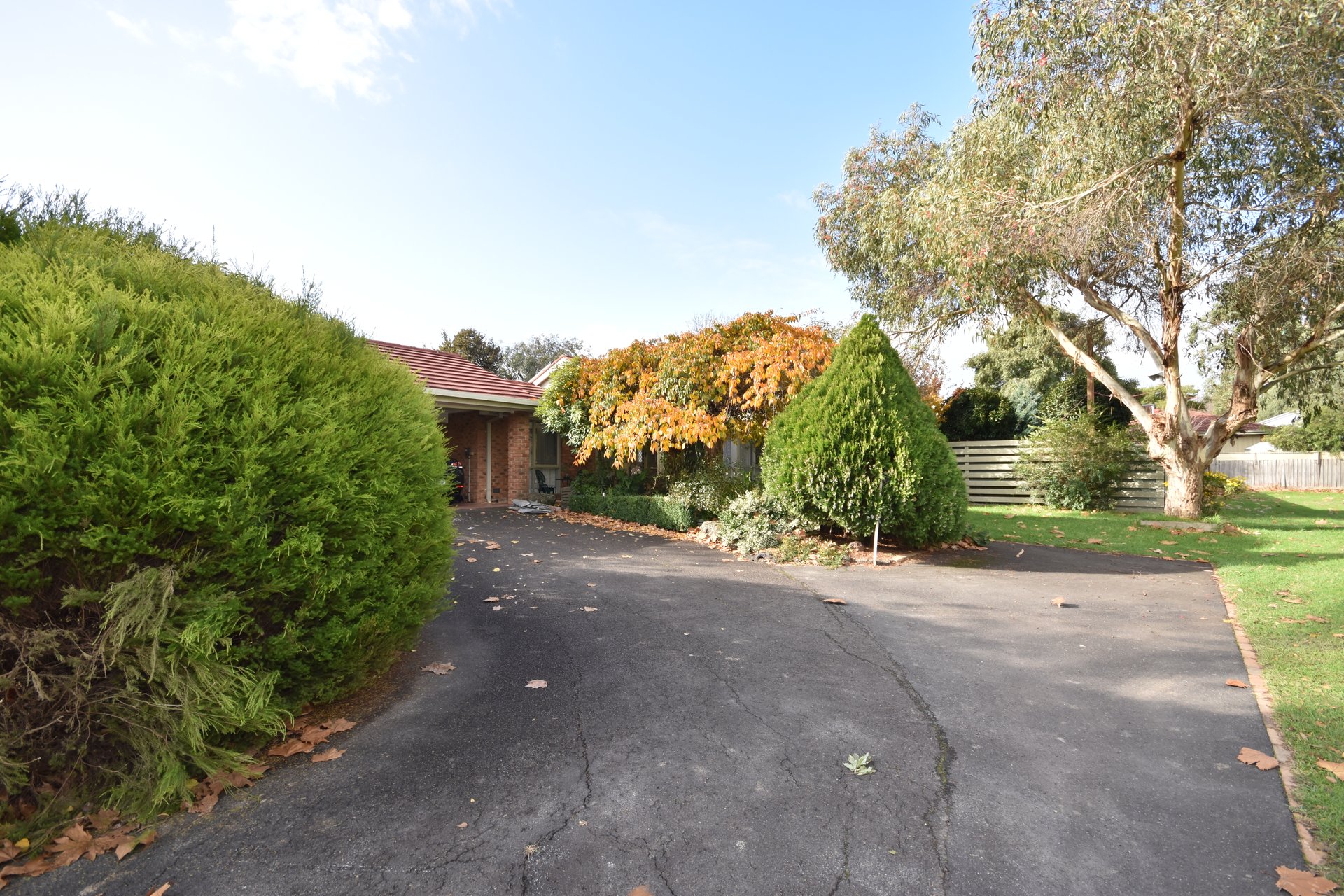 19 Summerhill Park Drive, Mooroolbark image 2