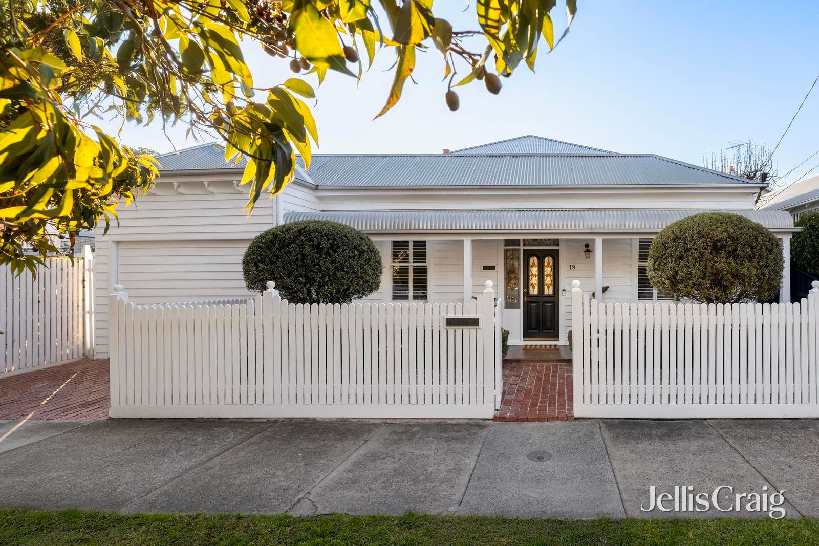 19 Susan Street, Sandringham image 1