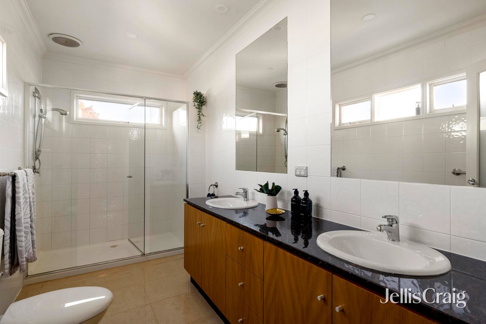 19 Susan Street, Sandringham image 19