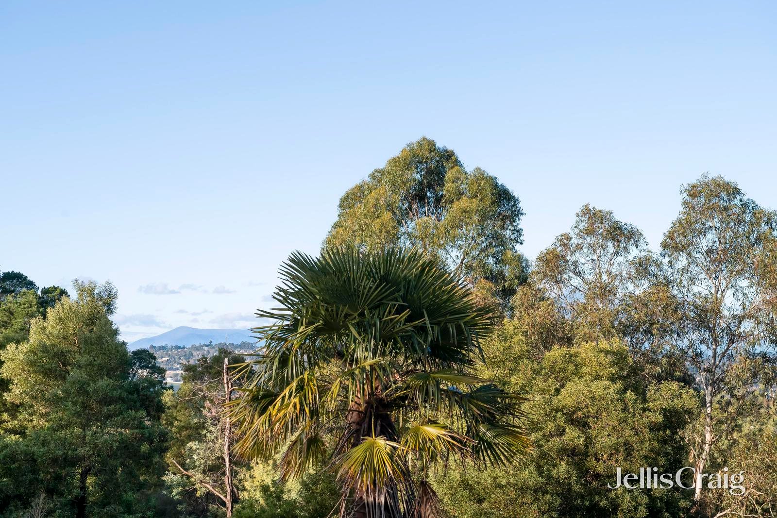 19 Tadji Close, Croydon North image 21