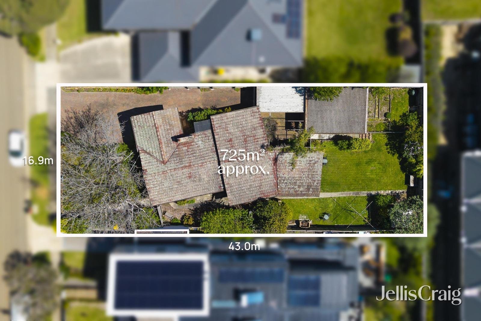 19 Wallabah Street, Mount Waverley image 1