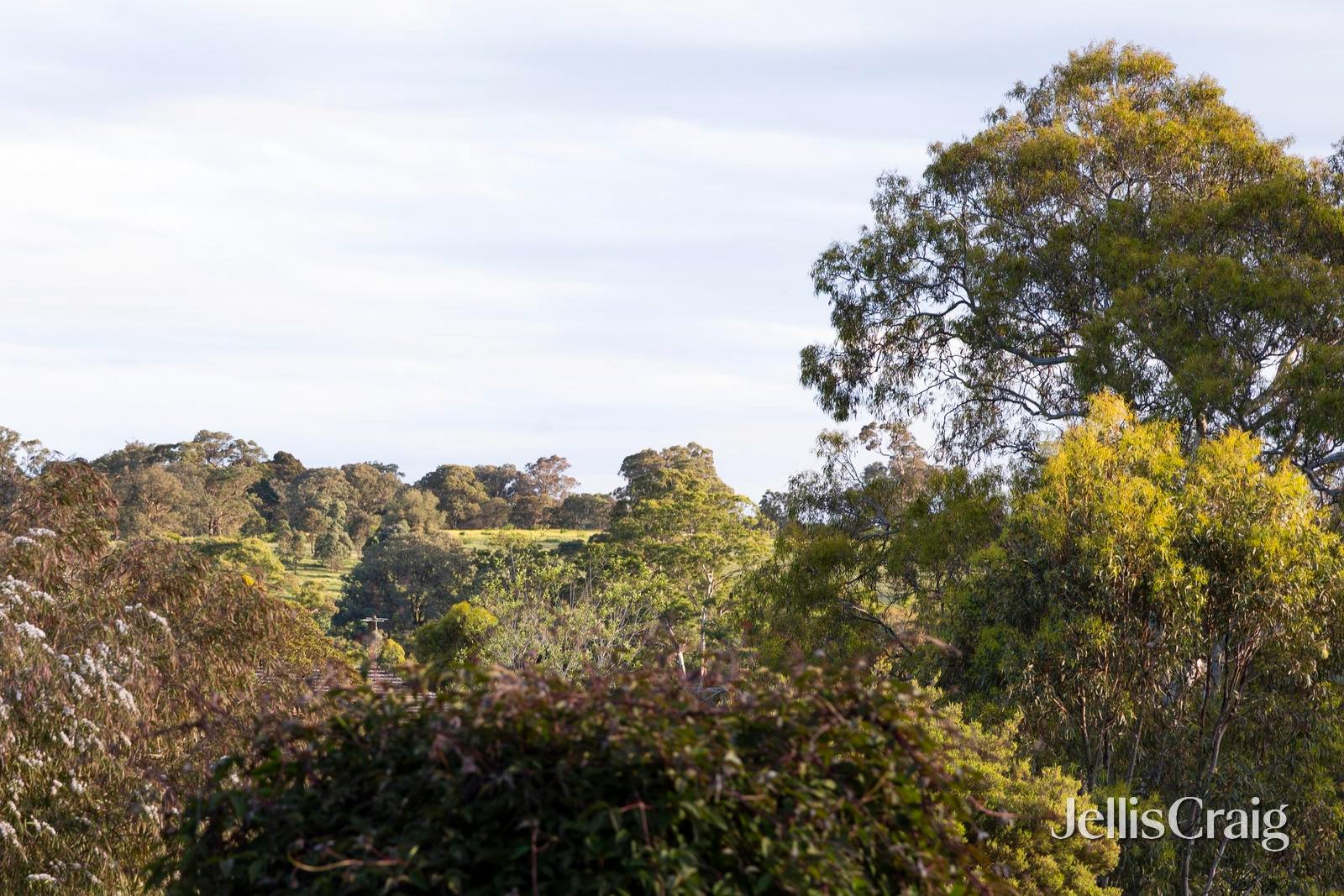 19 Wentworth Close, Diamond Creek image 20