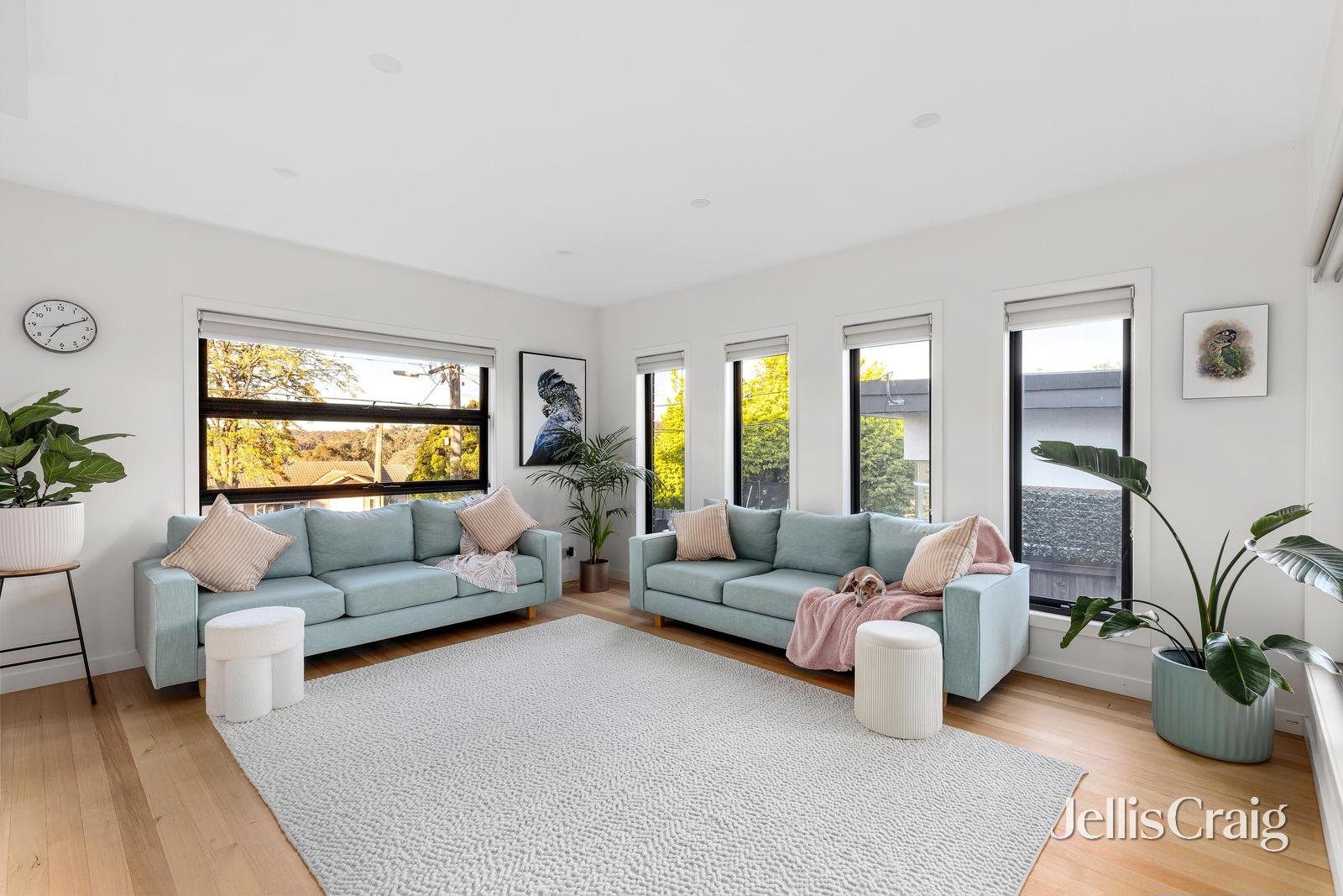 1/91 Hailes Street, Greensborough image 3