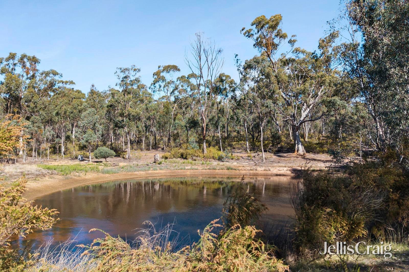 191 Providence Gully Road, Sandon image 16