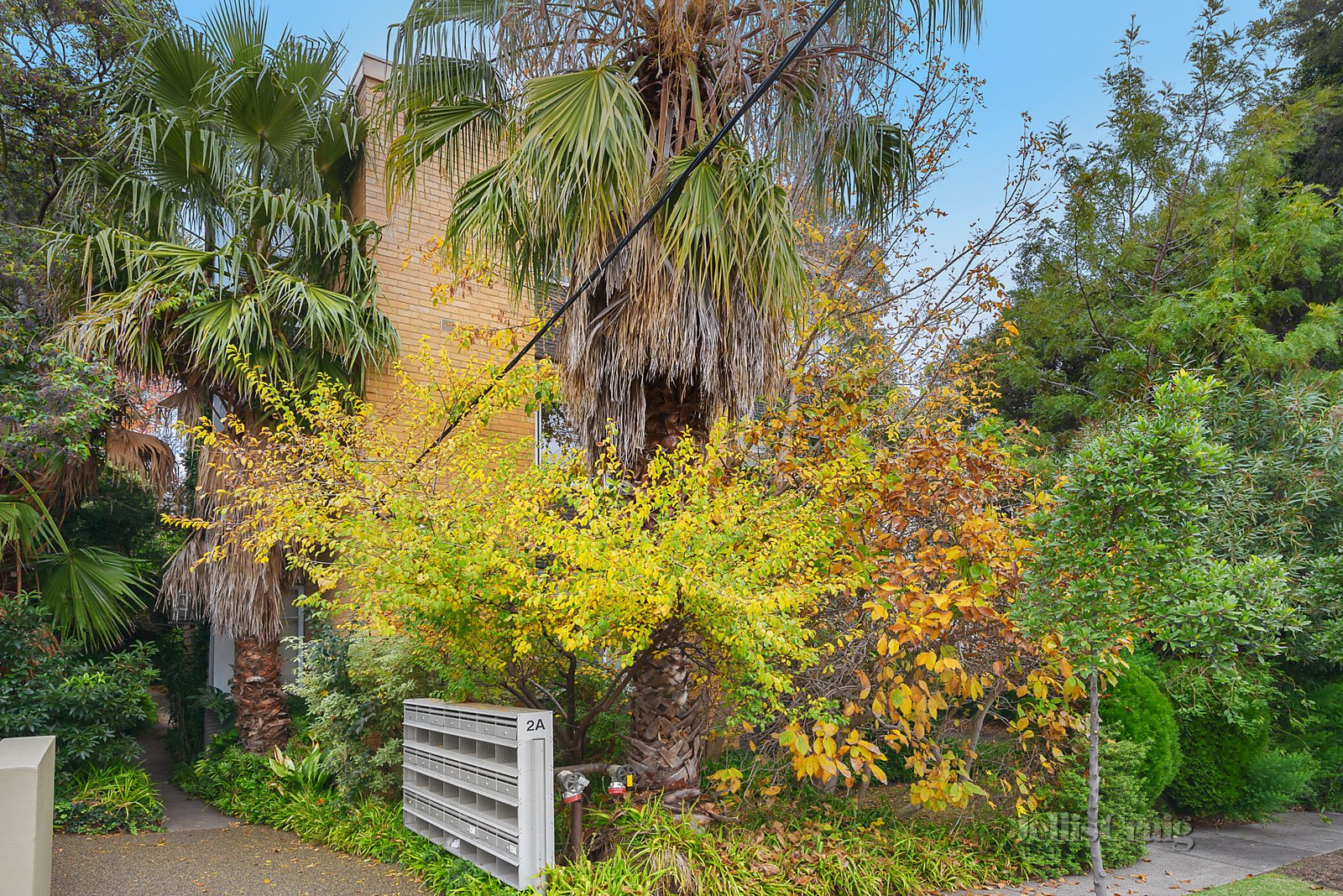 19/2a Burnie Street, Toorak image 6