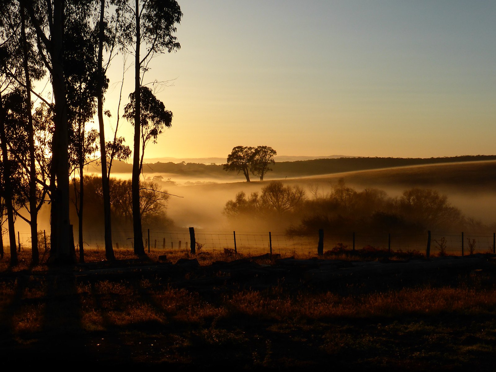 1936 Daylesford Malmsbury Road, Drummond image 3