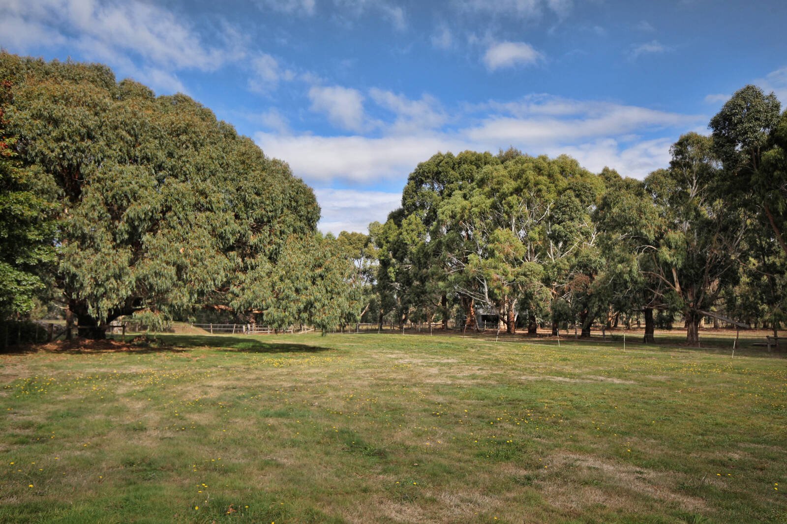 Property Gallery Thumbnail 18
