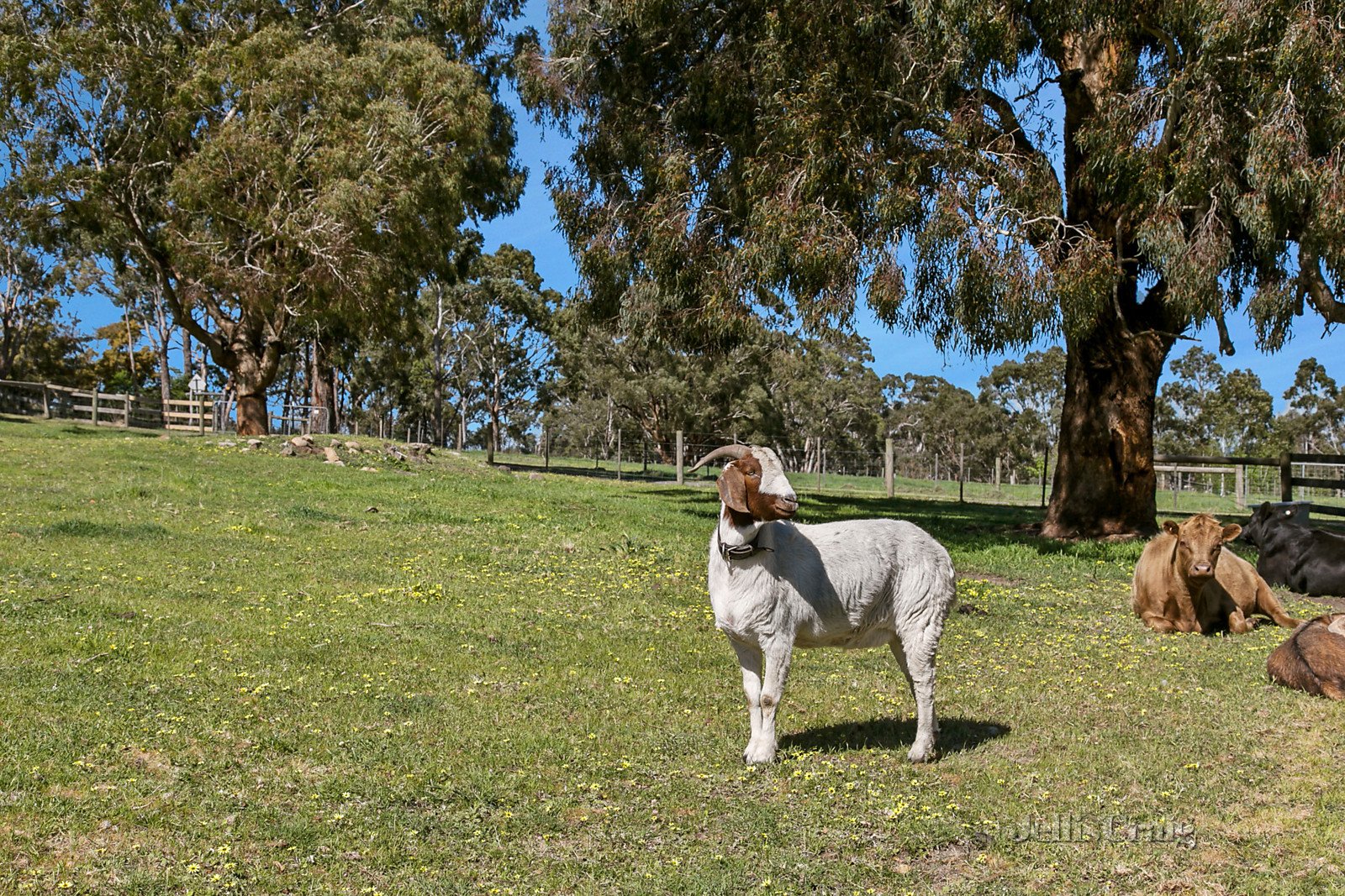 195 Baynton Road, Kyneton image 16