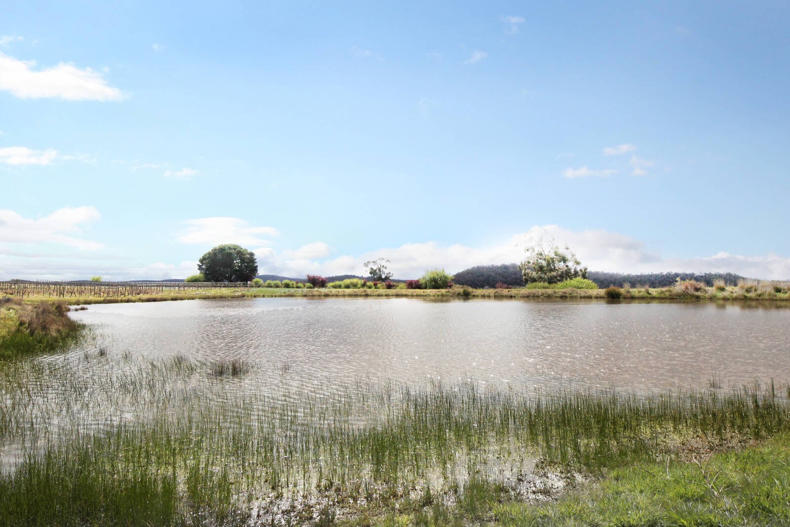 Property Gallery Thumbnail 14
