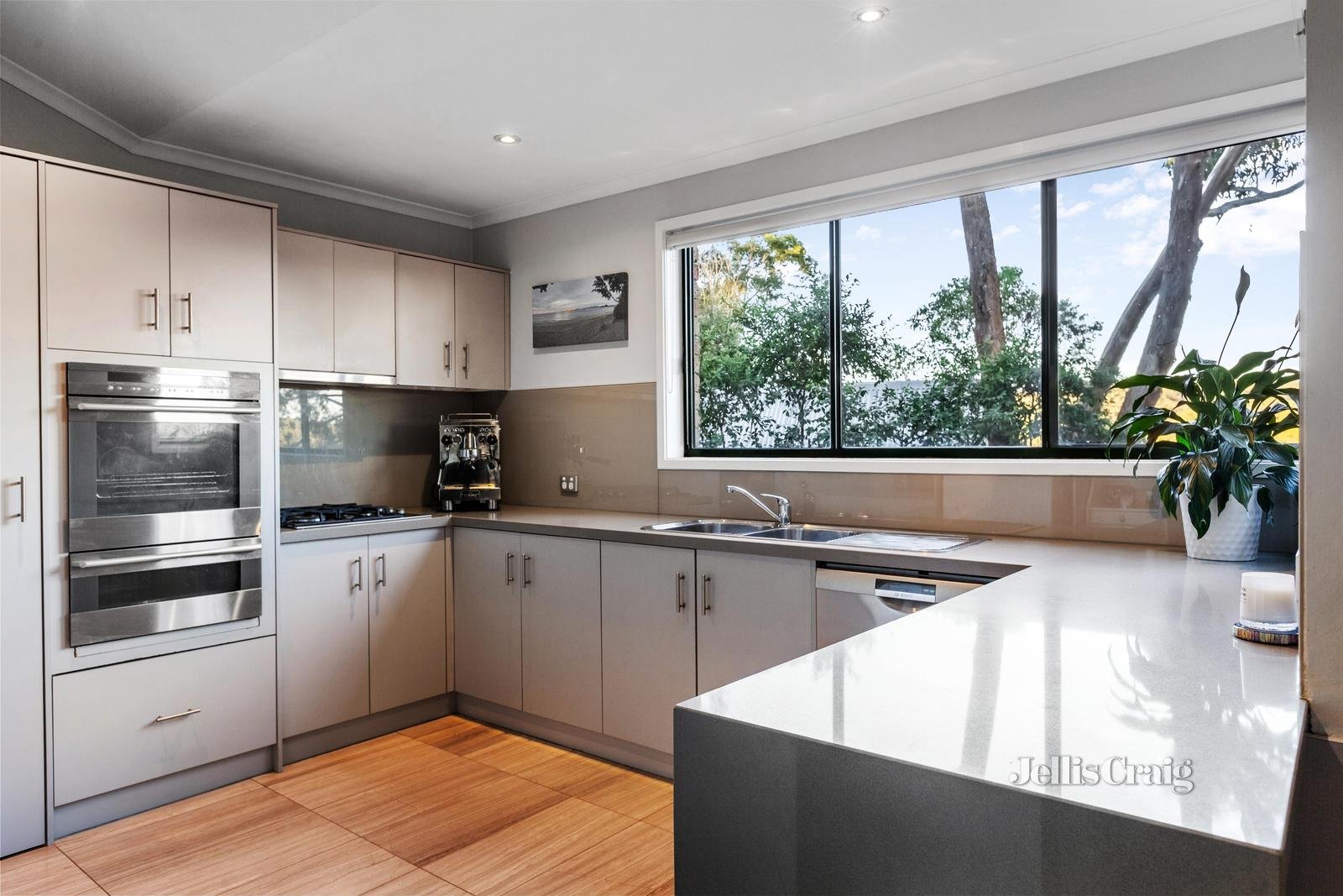19A Souter Street, Eltham image 4