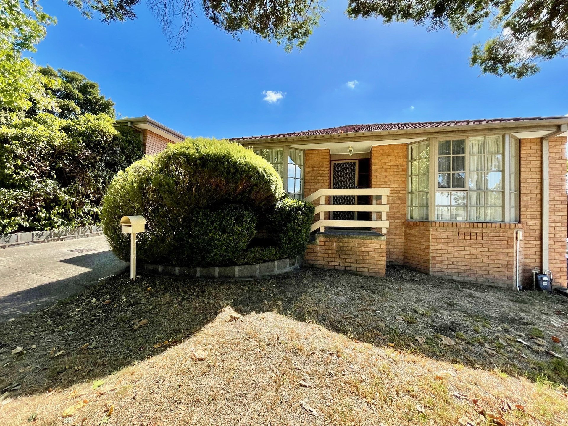 1A David Street, Ringwood image 1