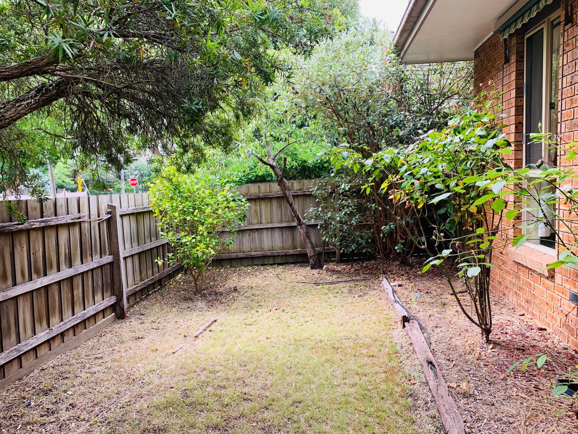 1A Diana Drive, Blackburn North image 4