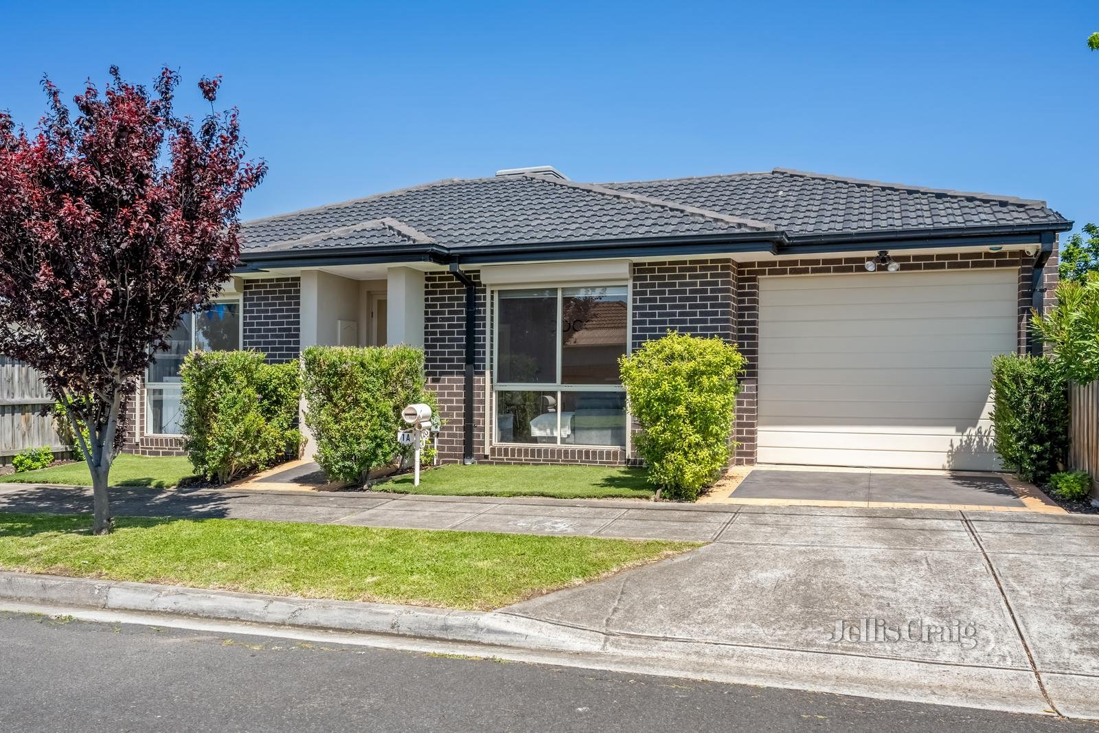 1A Karadoc Avenue, Pascoe Vale image 1
